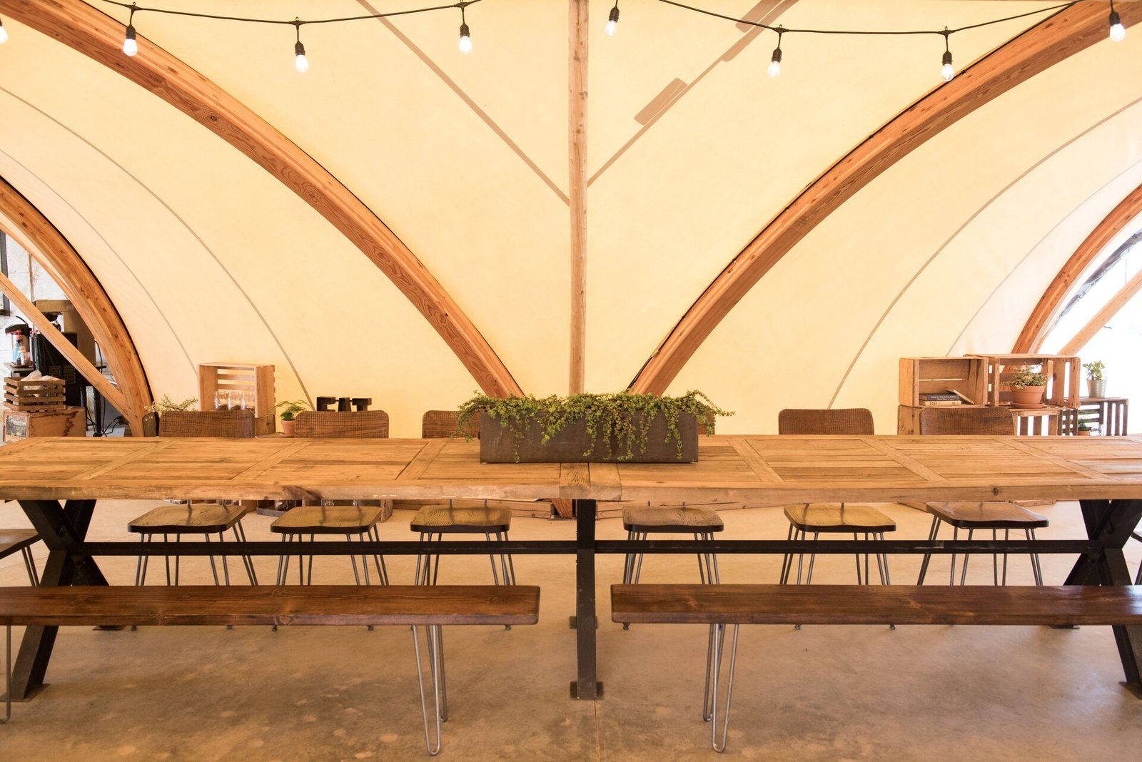 Under Canvas Mount Rushmore, at the table
