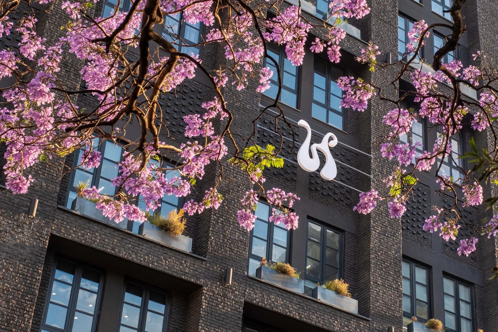 Hyde Johannesburg Rosebank, how it began