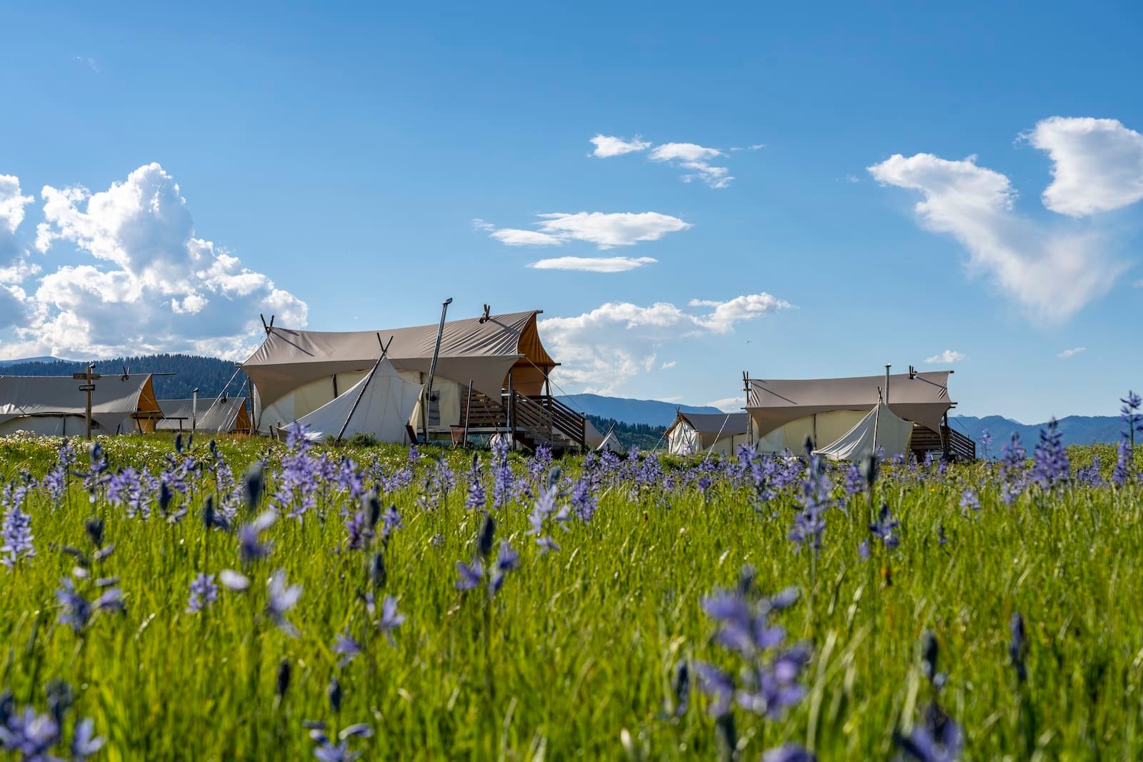 Under Canvas West Yellowstone, how it began