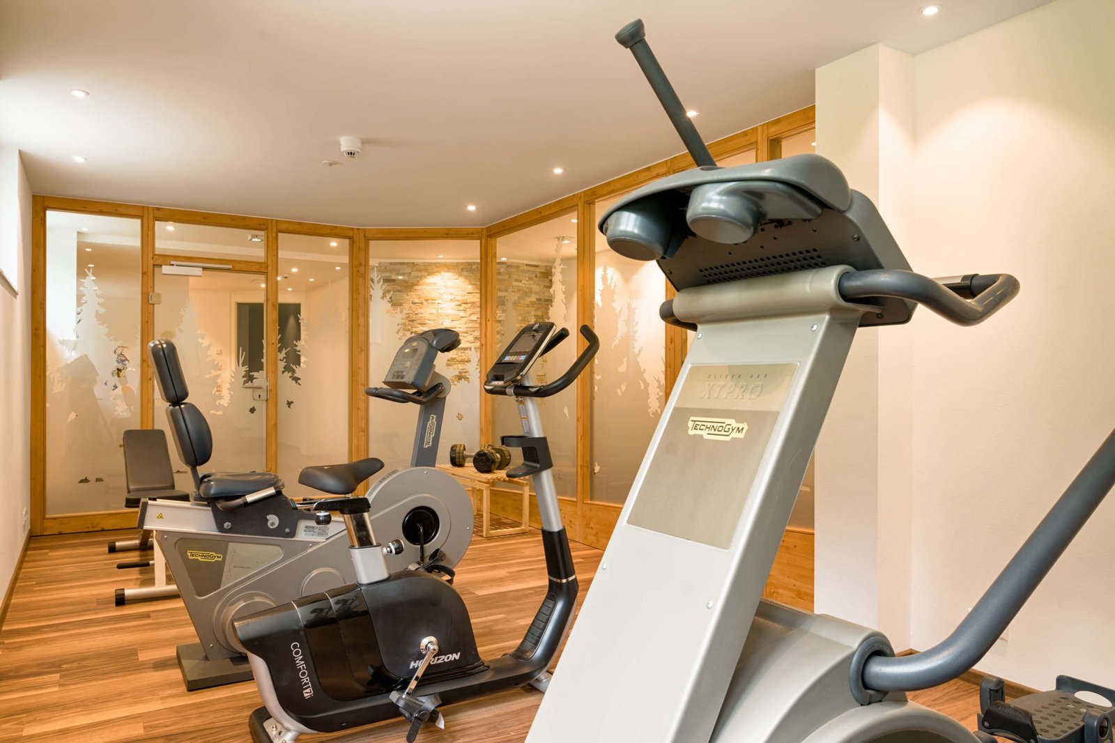 Hotel Thomahof, the saunas and gym