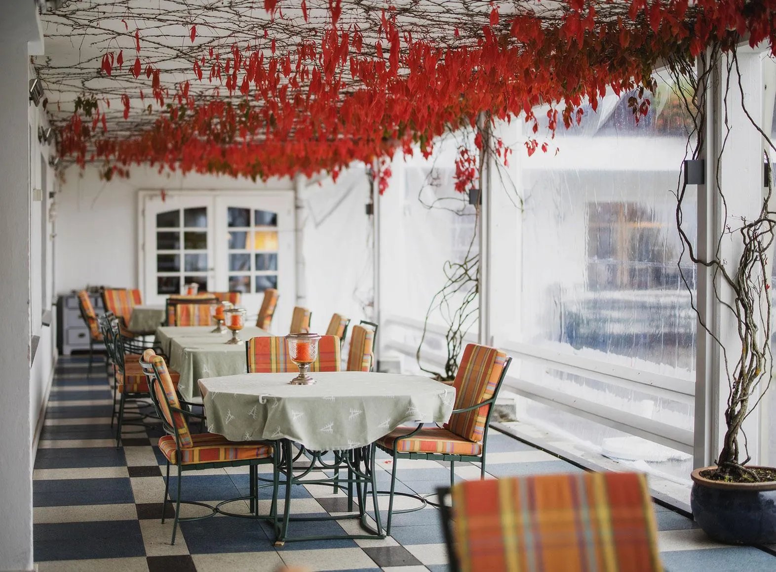 Hotel Waldhaus Ohlenbach
