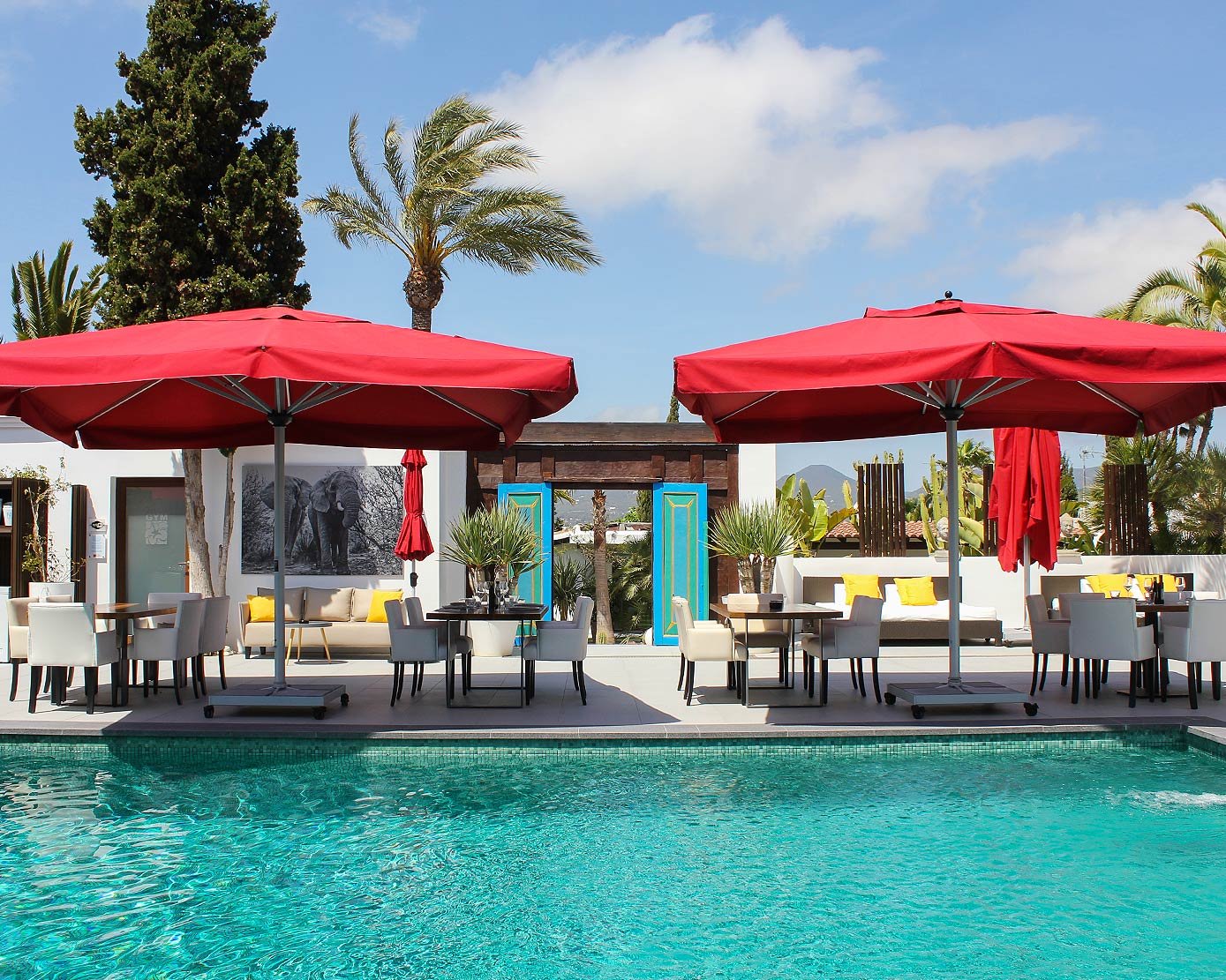 Casa Munich Ibiza, the pool