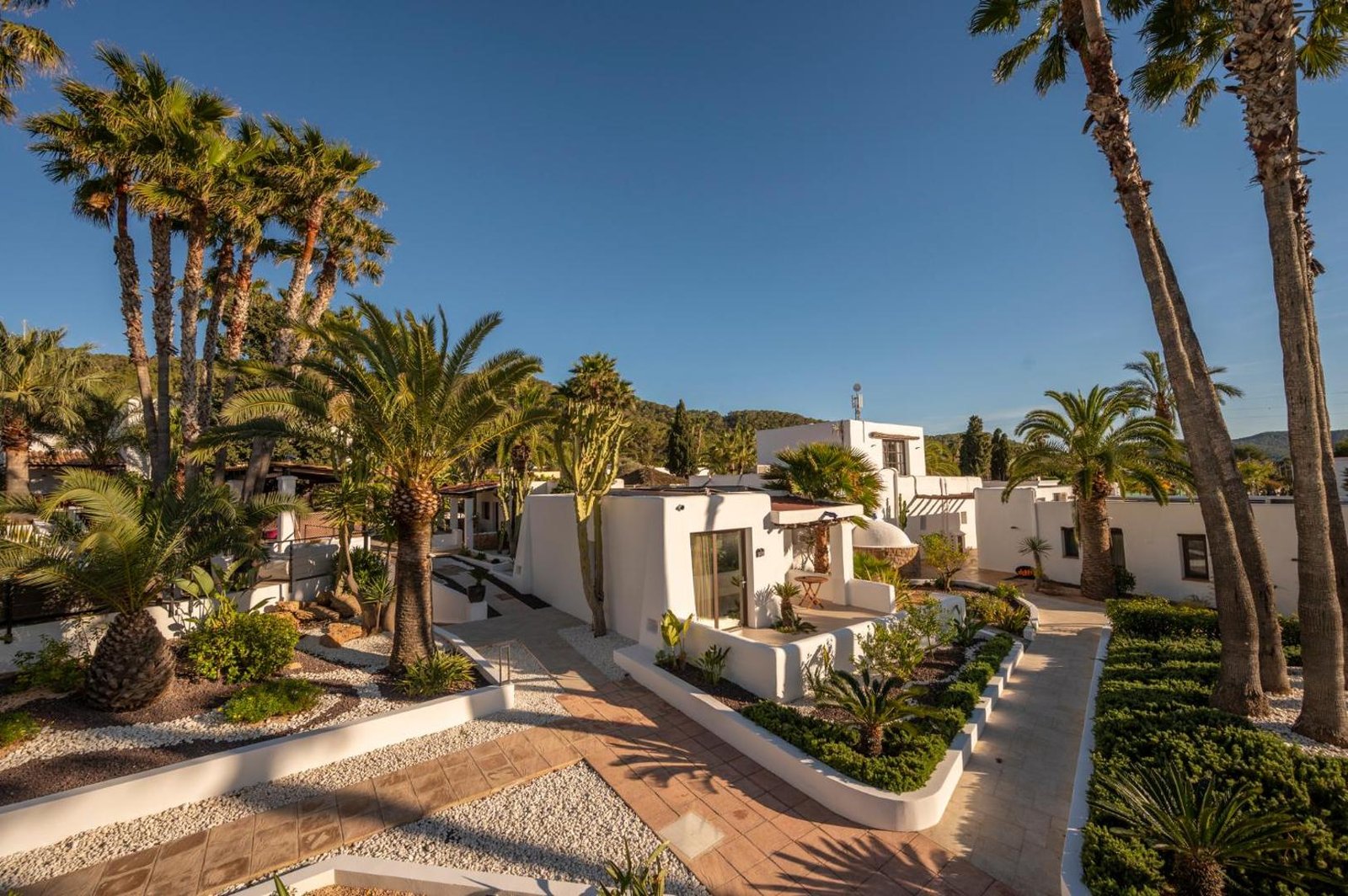 Casa Munich Ibiza, how it began