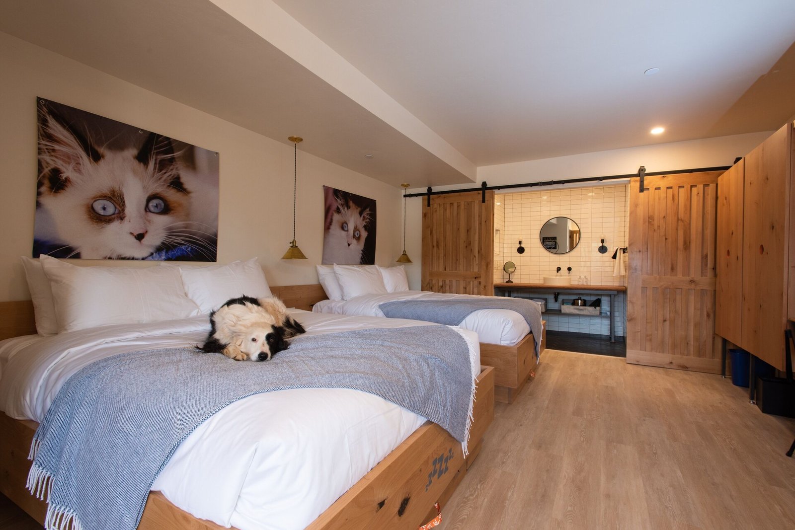 Best Friends Roadhouse and Mercantile, rooms
