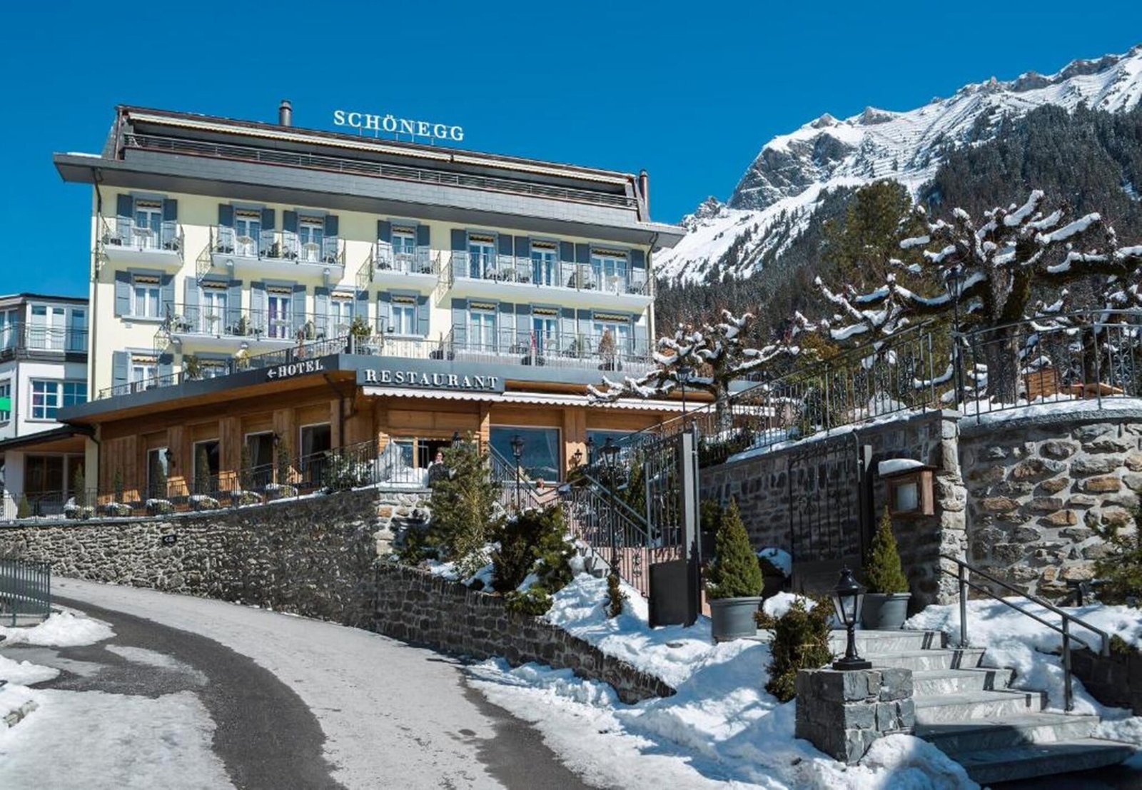 Hotel Schönegg, how it began