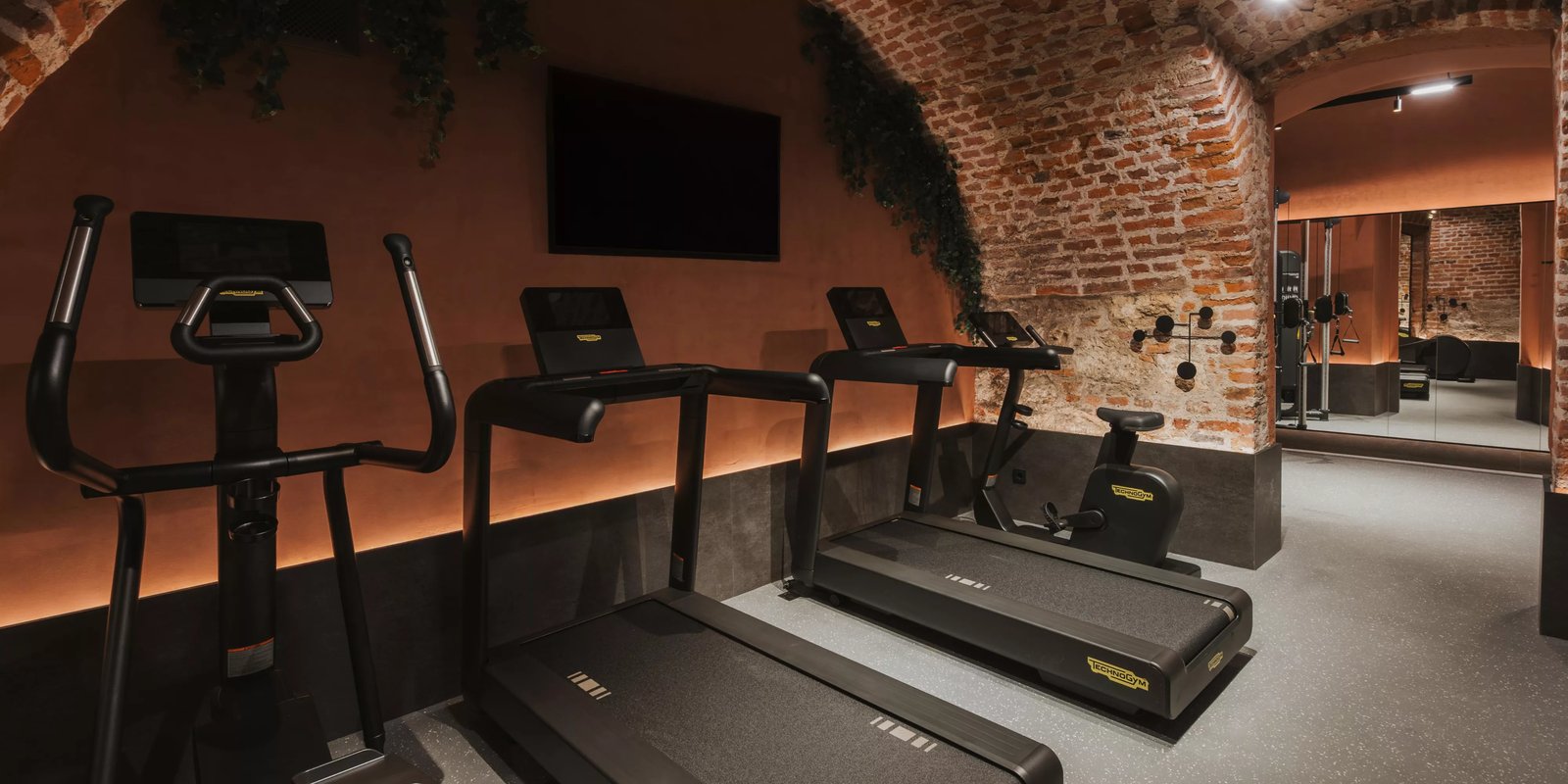 Hotel Indigo Krakow - Wawel Castle, the gym
