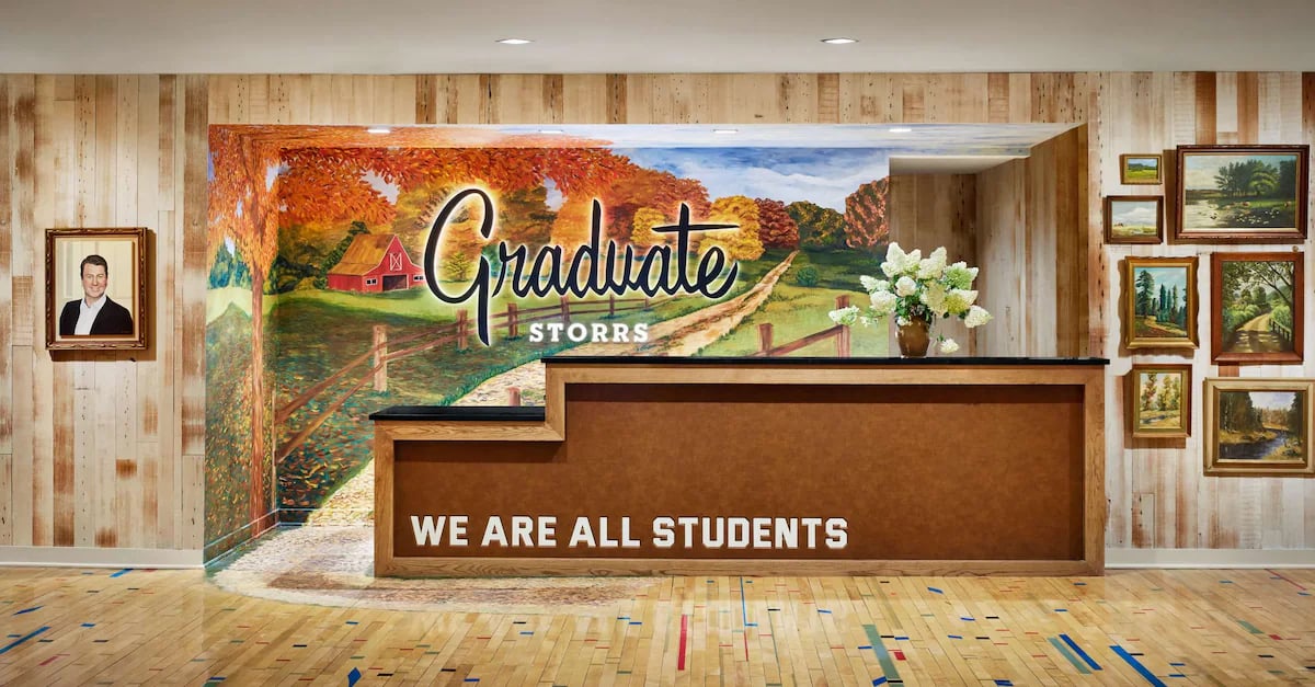 Graduate by Hilton Storrs