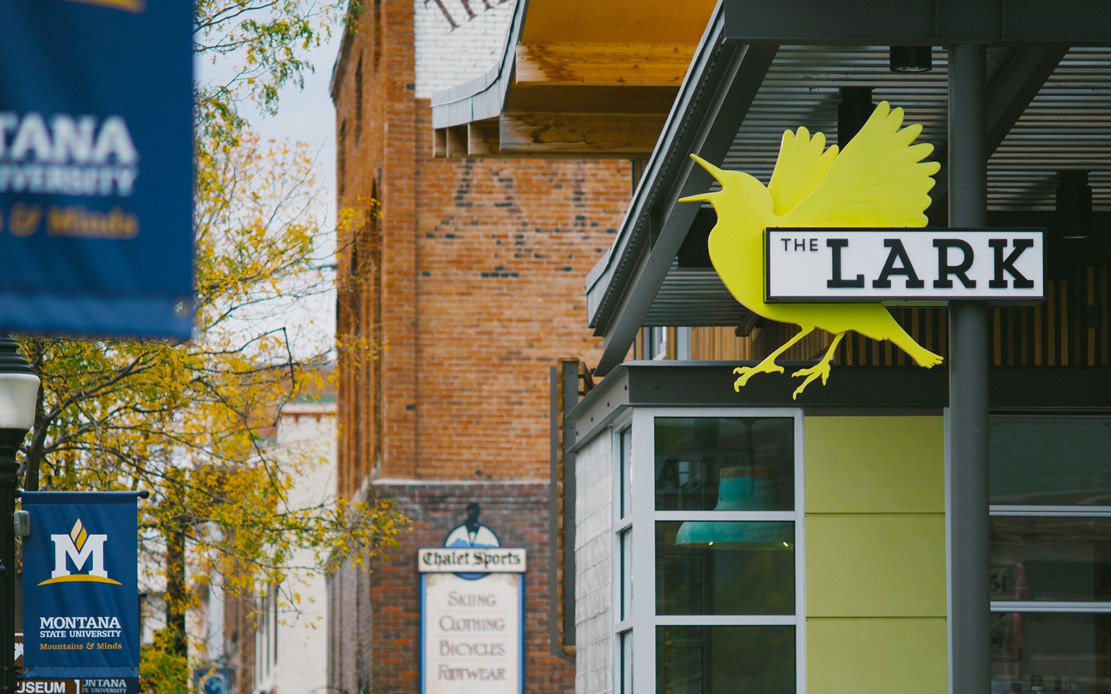 The Lark, how it began