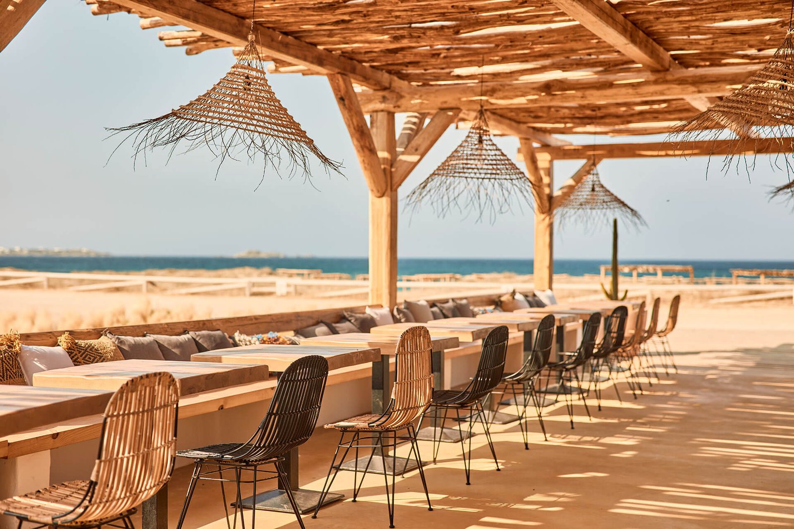 Naxian on the Beach, tortuga