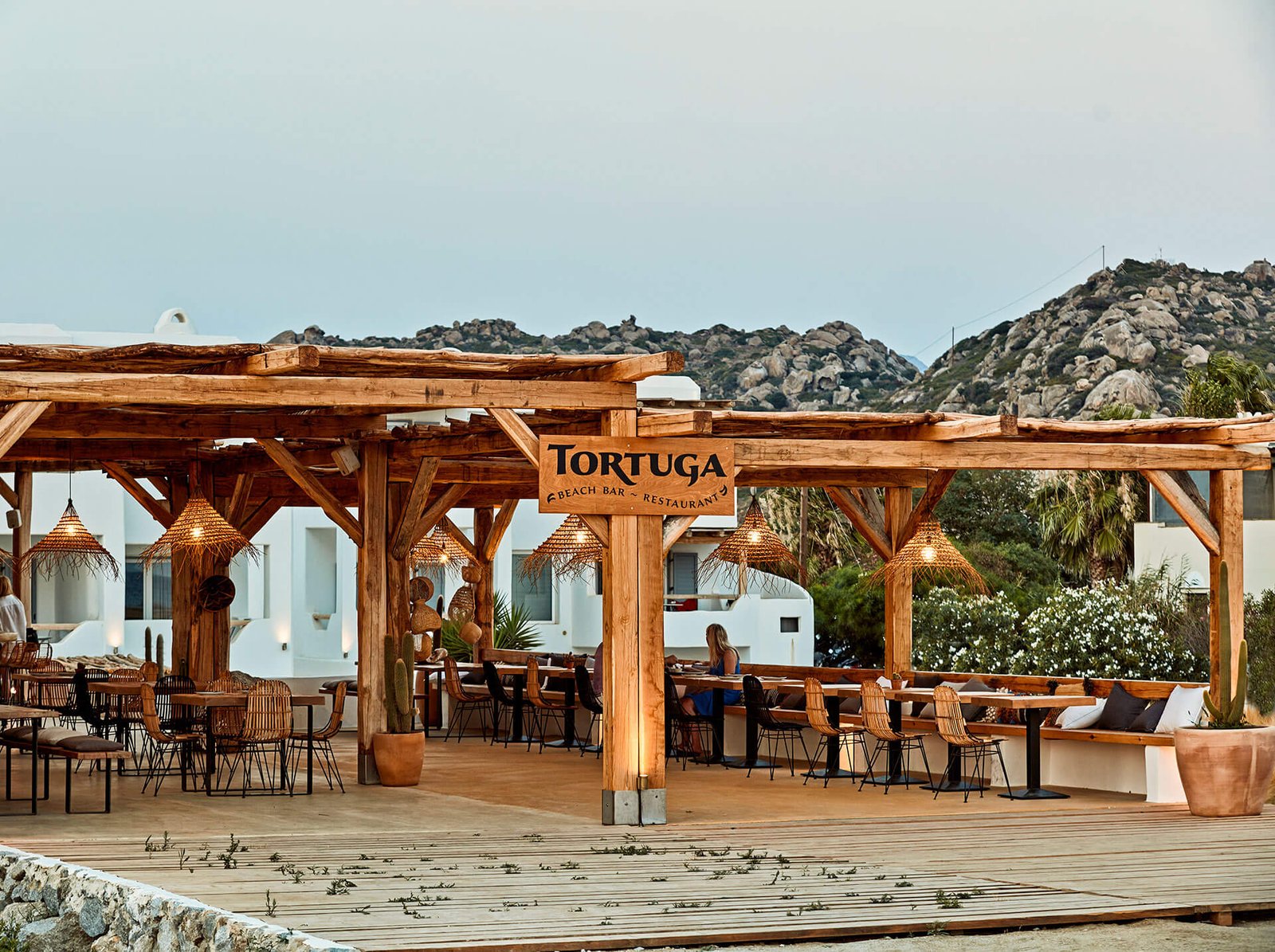 Naxian on the Beach, tortuga