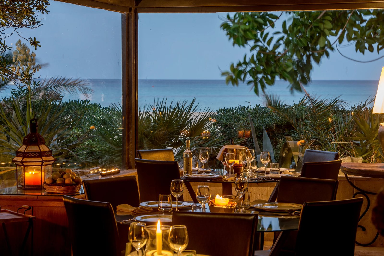 Hotel Capo San Vito, jacaranda