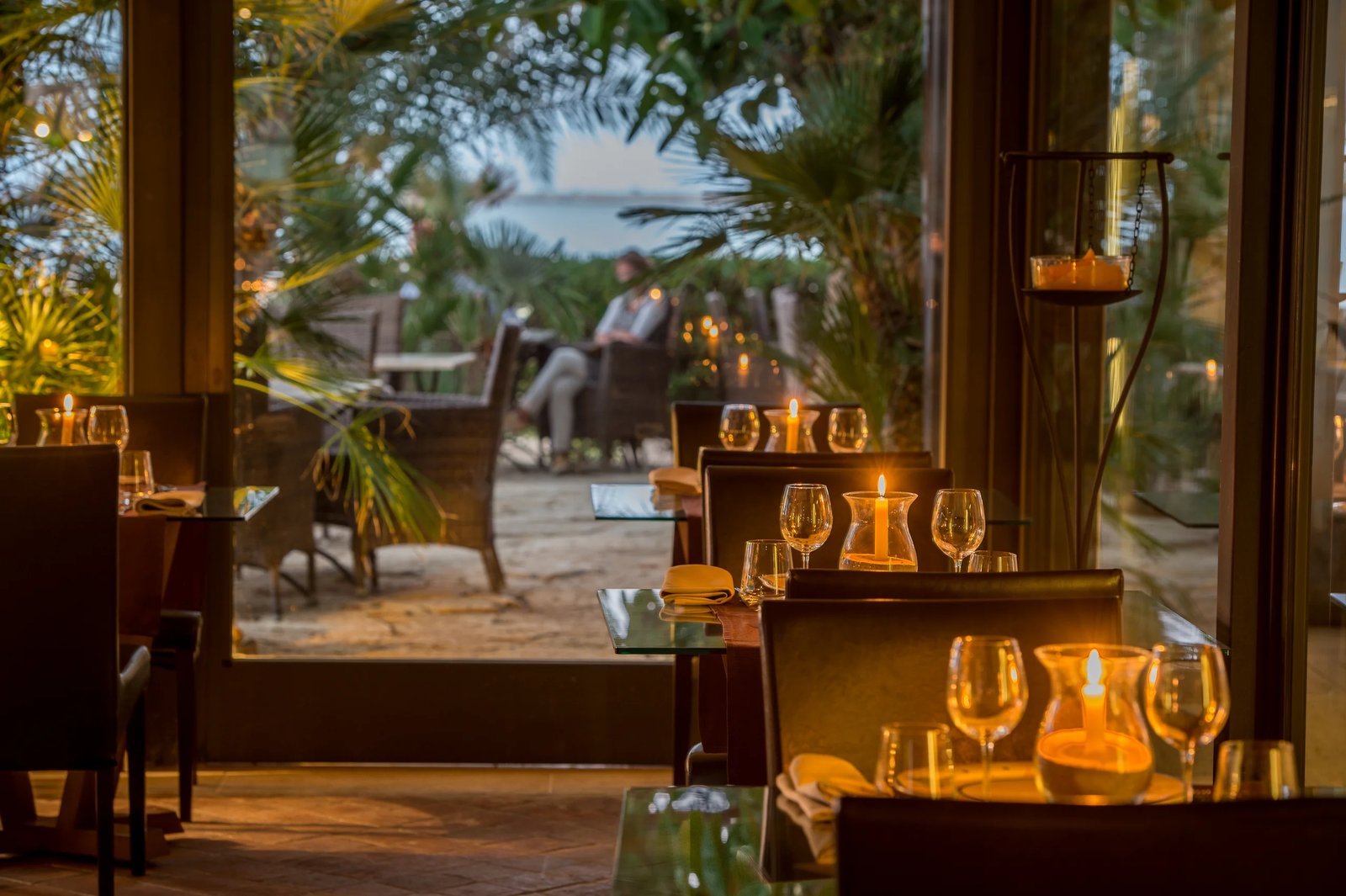 Hotel Capo San Vito, jacaranda