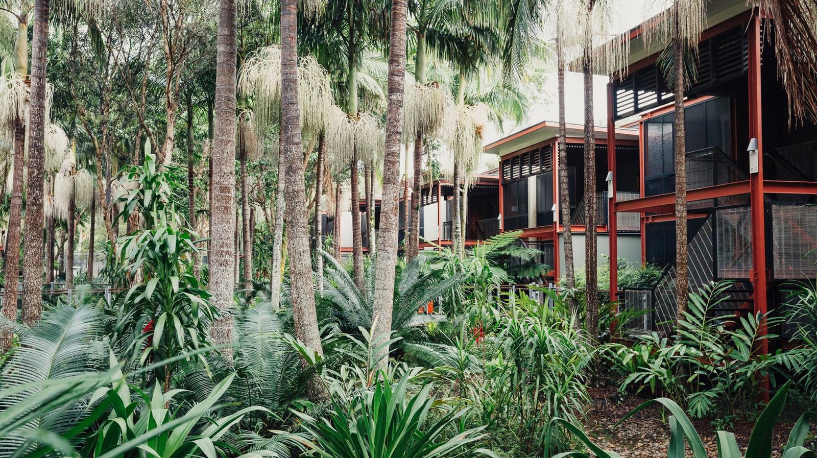 Crystalbrook Byron, how it began