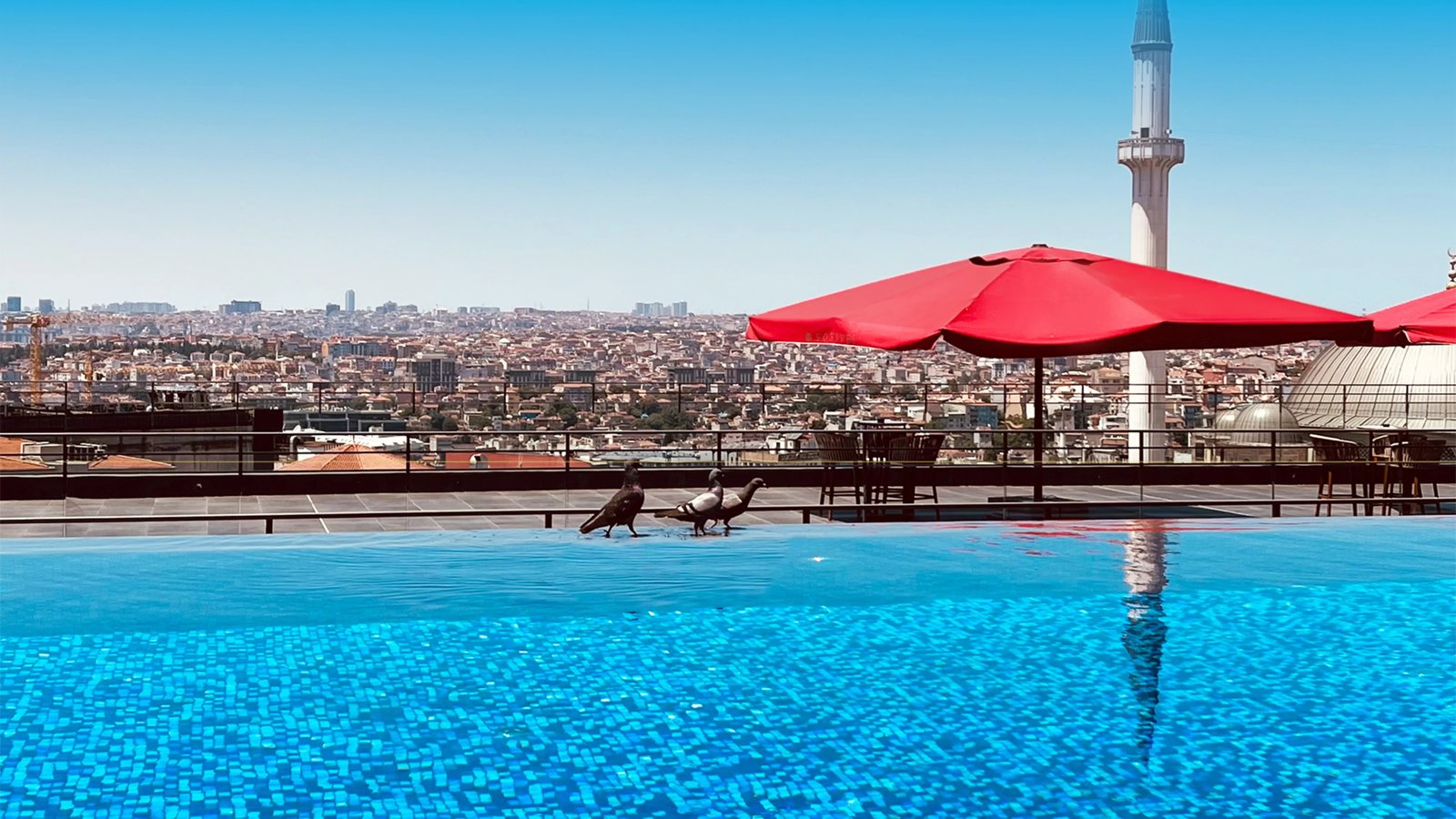 Sofitel Istanbul Taksim, rooftop pool and gym