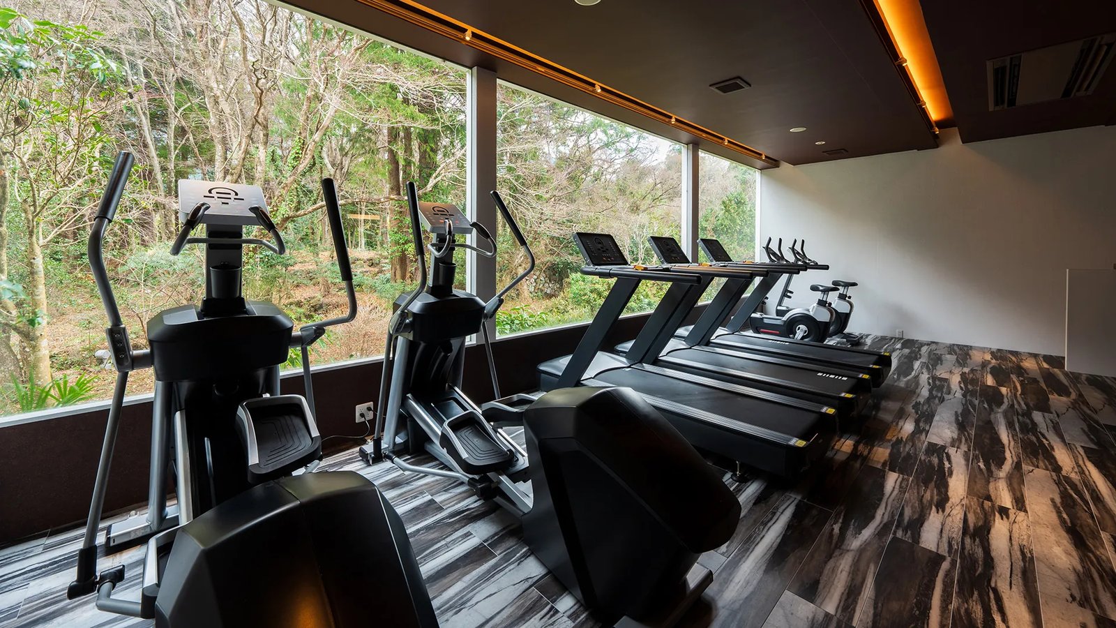 Gekkoju Yufuin, the gym