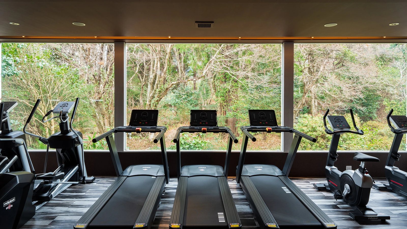 Gekkoju Yufuin, the gym