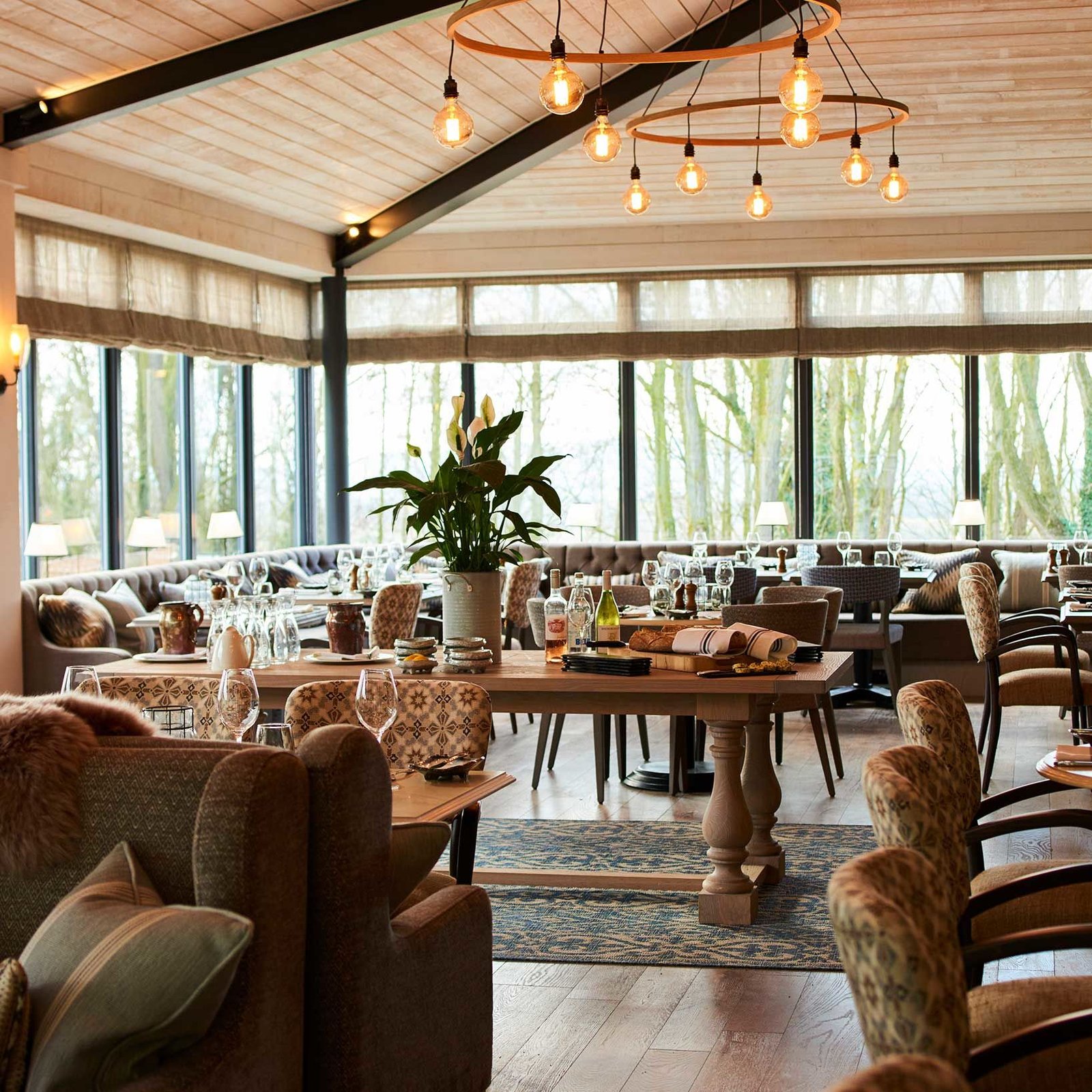 The Fish Hotel, hook