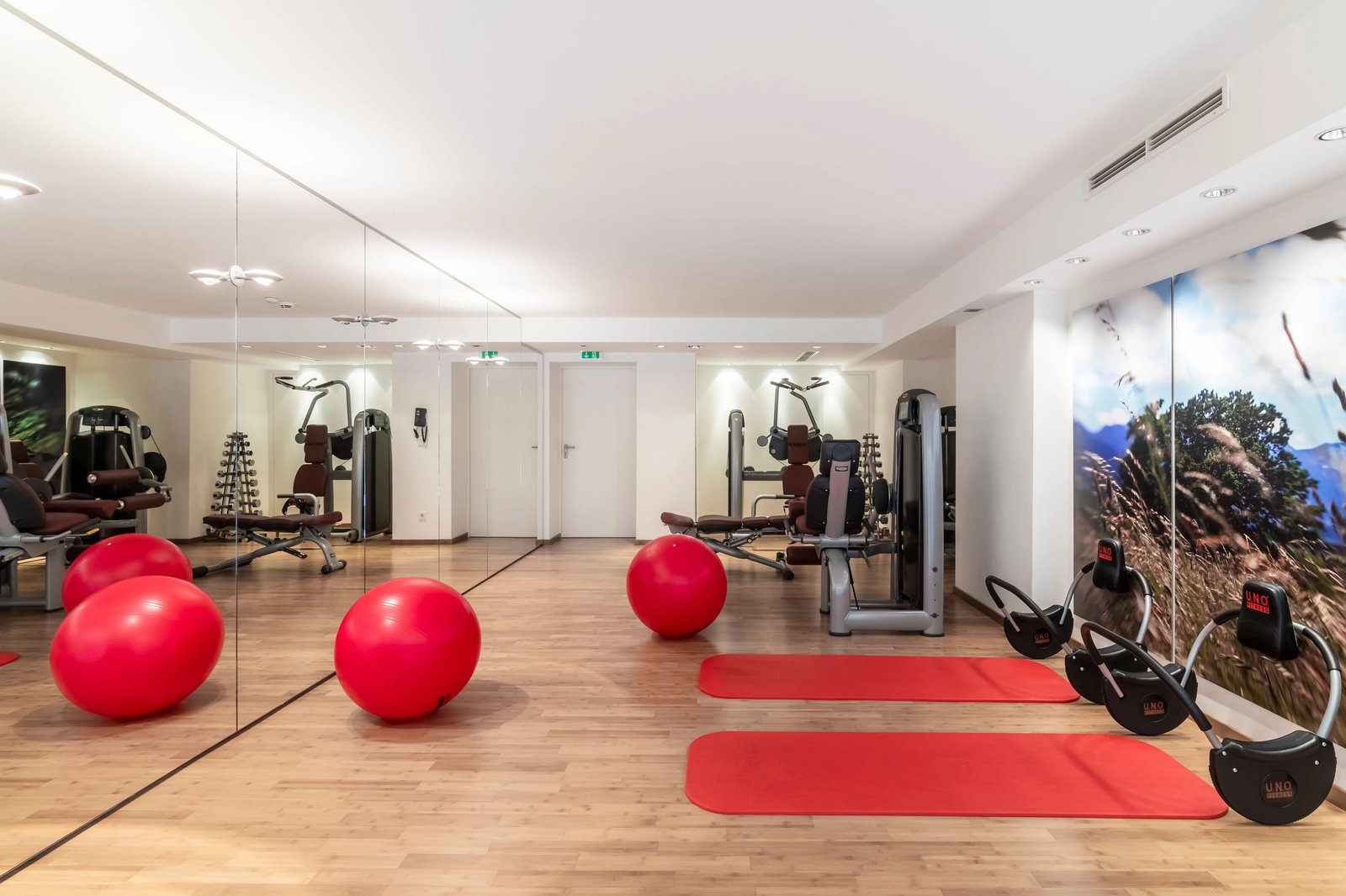 Alpenhof Murnau, the gym
