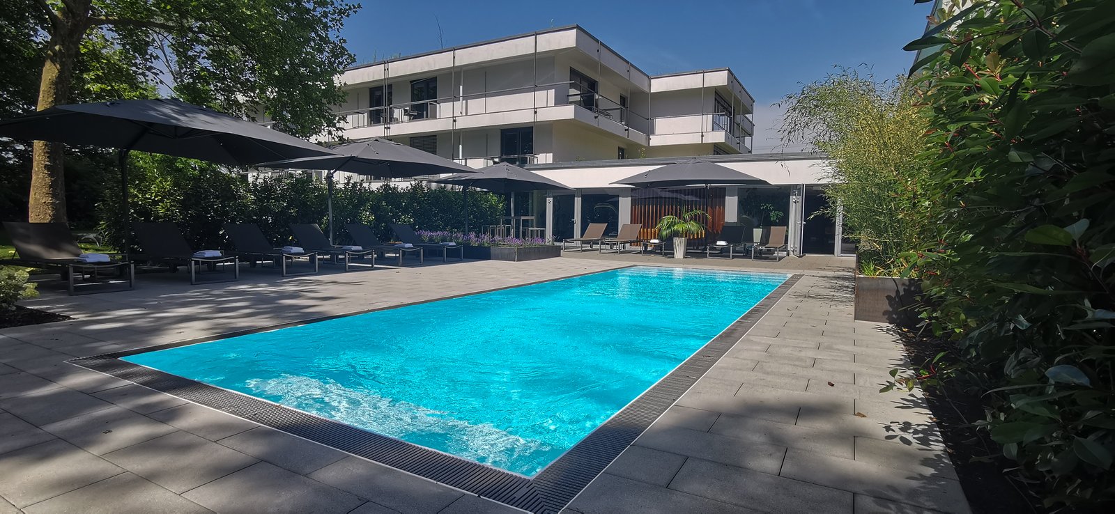 Schlosshotel Monrepos, the pool
