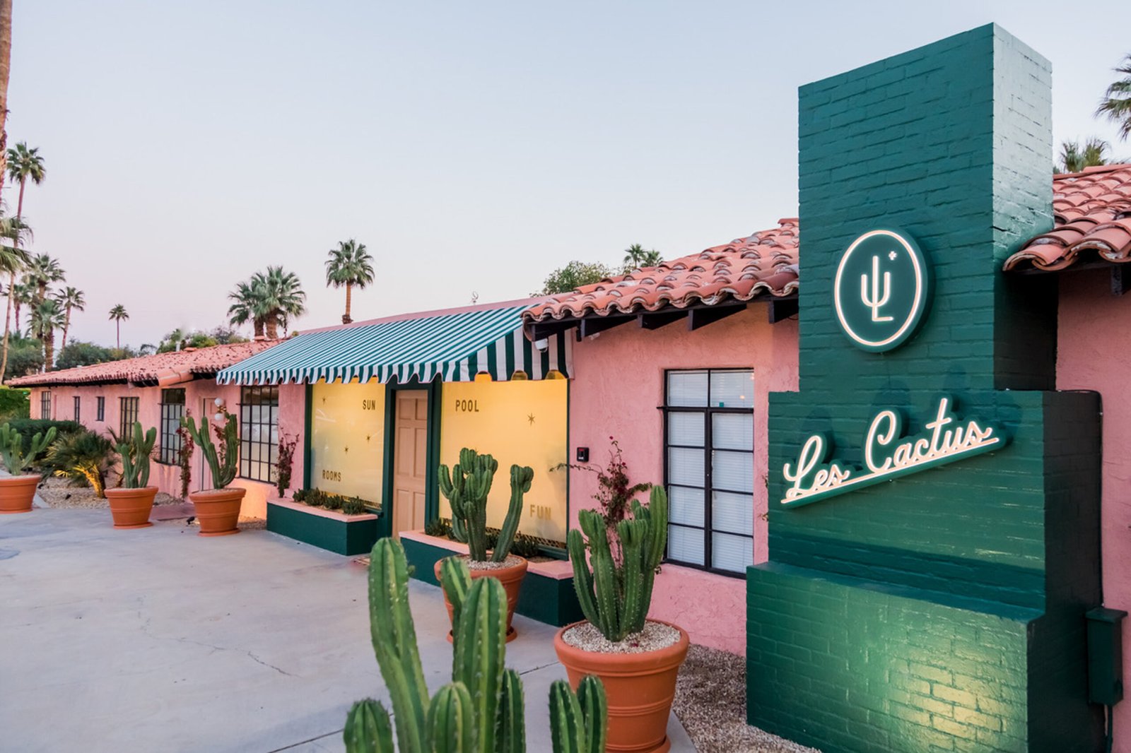 Les Cactus, how it began