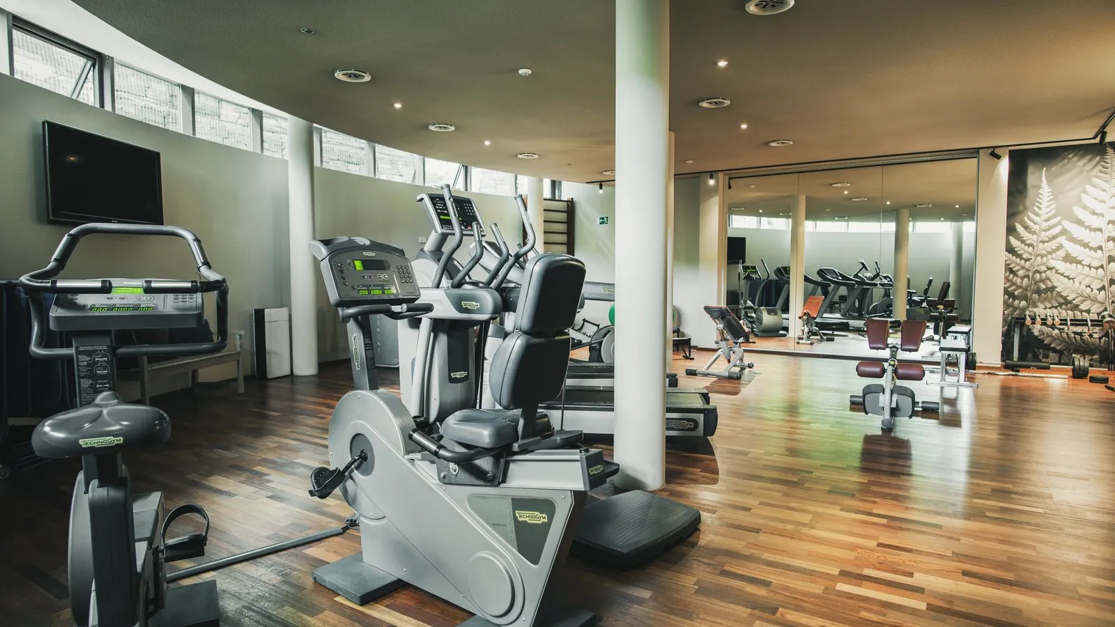 Hotel Lauterbad, the gym