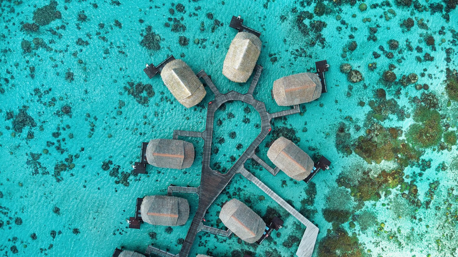 Sofitel Kia Ora Moorea Beach Resort, how it began