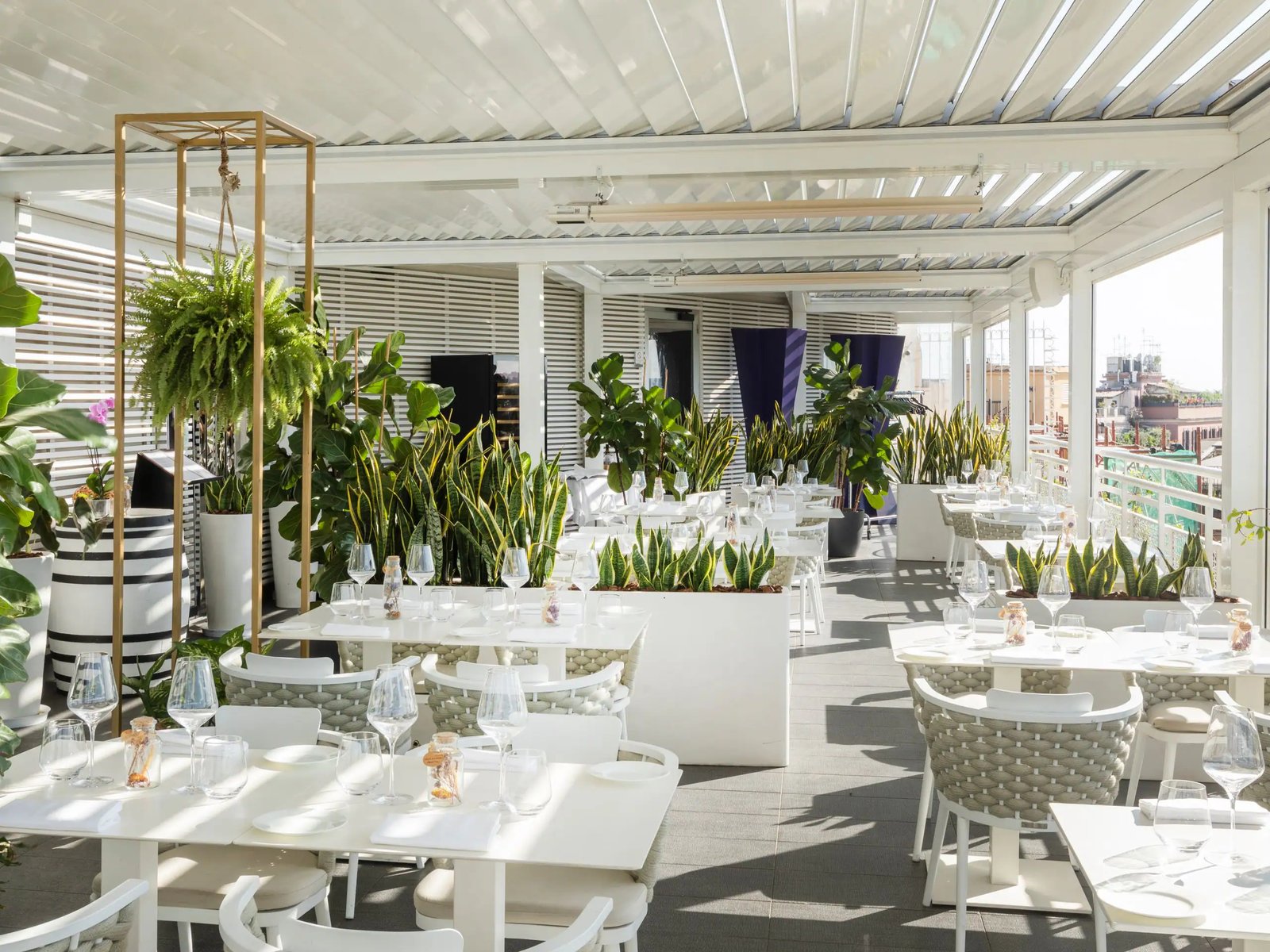 The Tribune - JDV by Hyatt, terrazza borghese