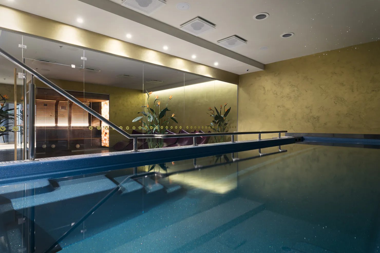 V Spa Hotel and Conference centre, the pool