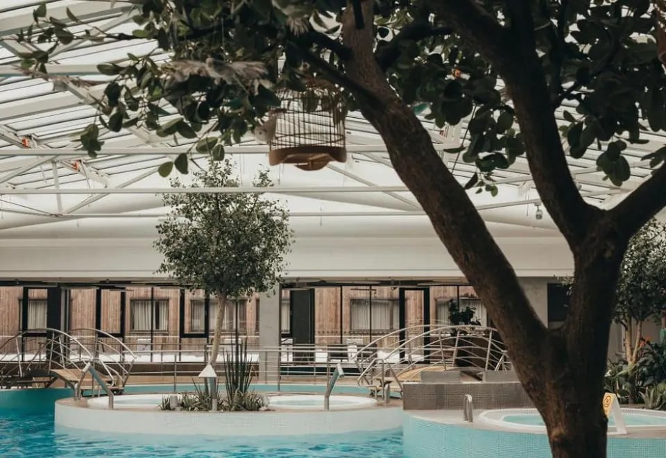 V Spa Hotel and Conference centre, the pool
