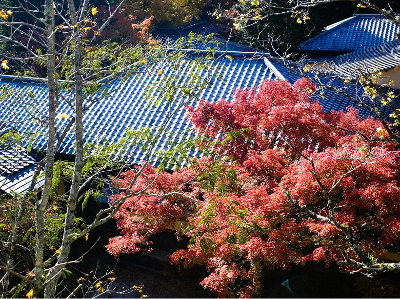 Hakone Retreat Villa 1/f, how it began