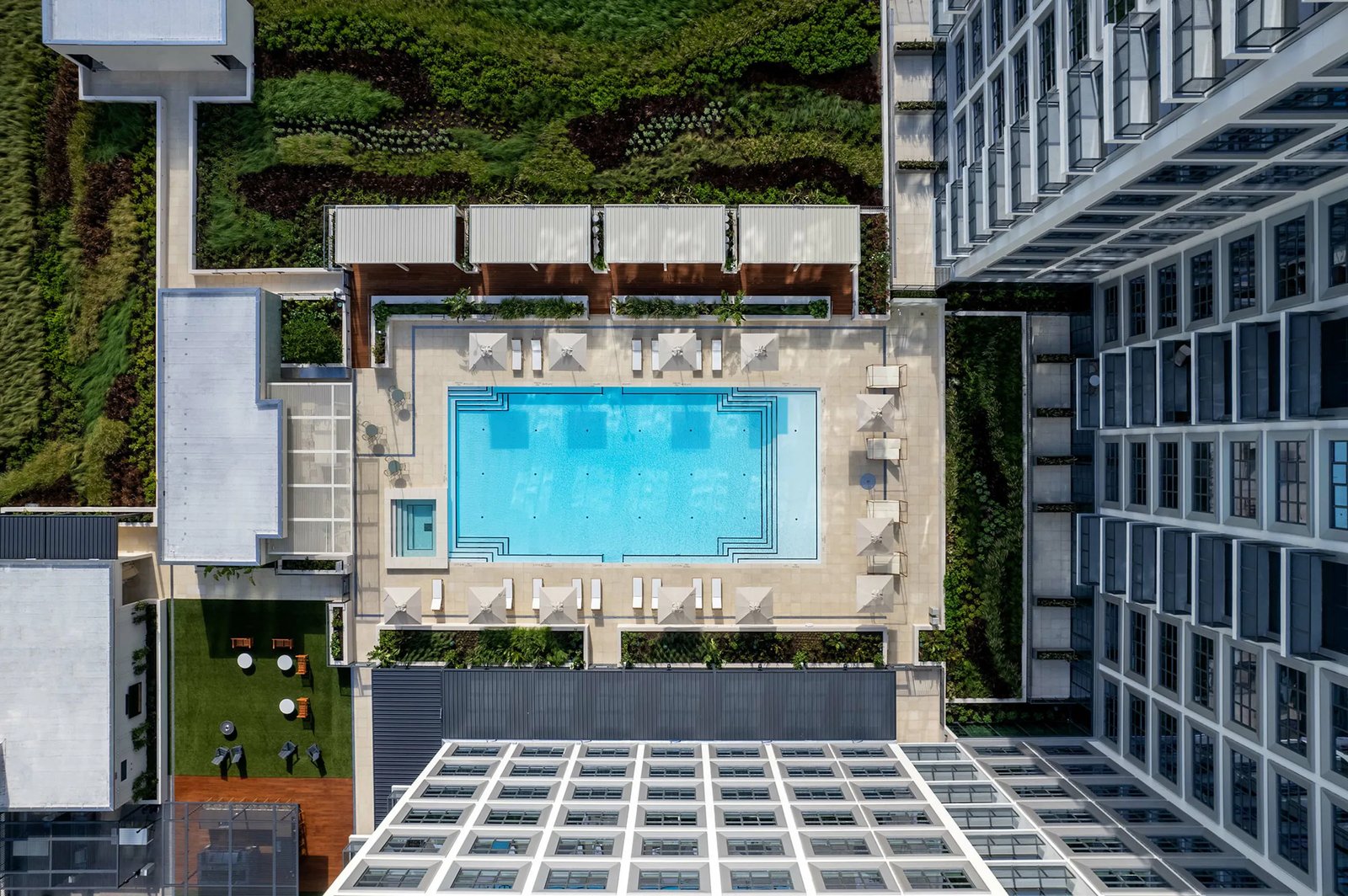 ROOST Tampa, the pool