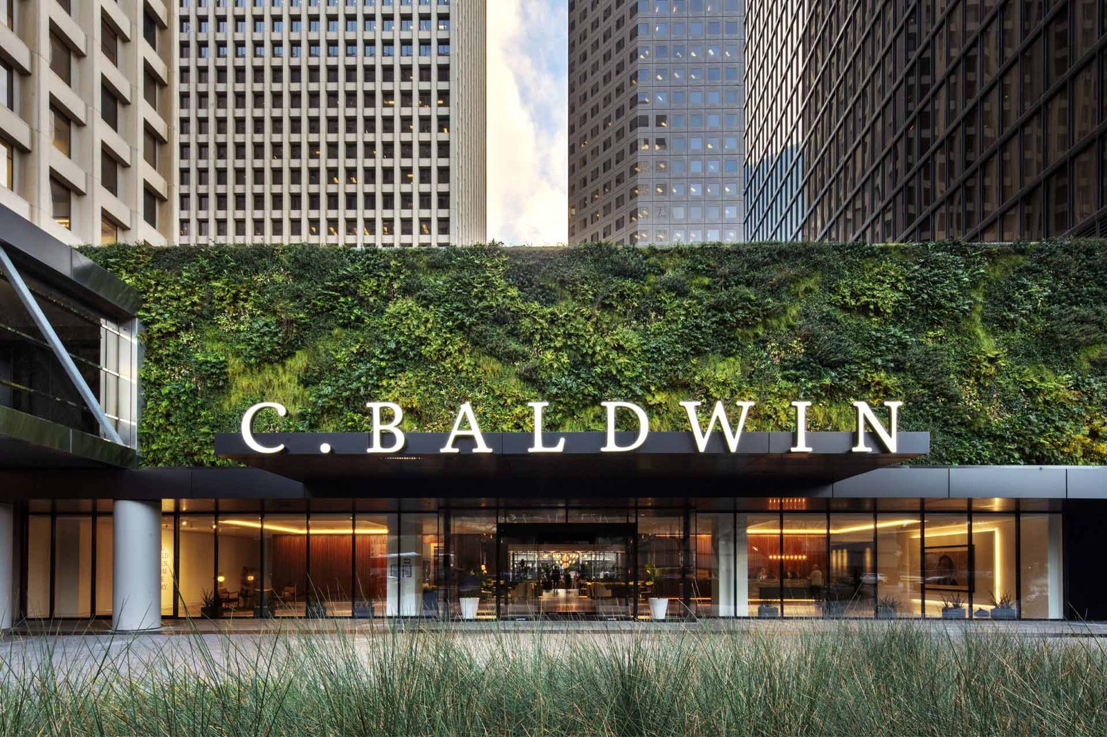 C. Baldwin, Curio Collection by Hilton, how it began