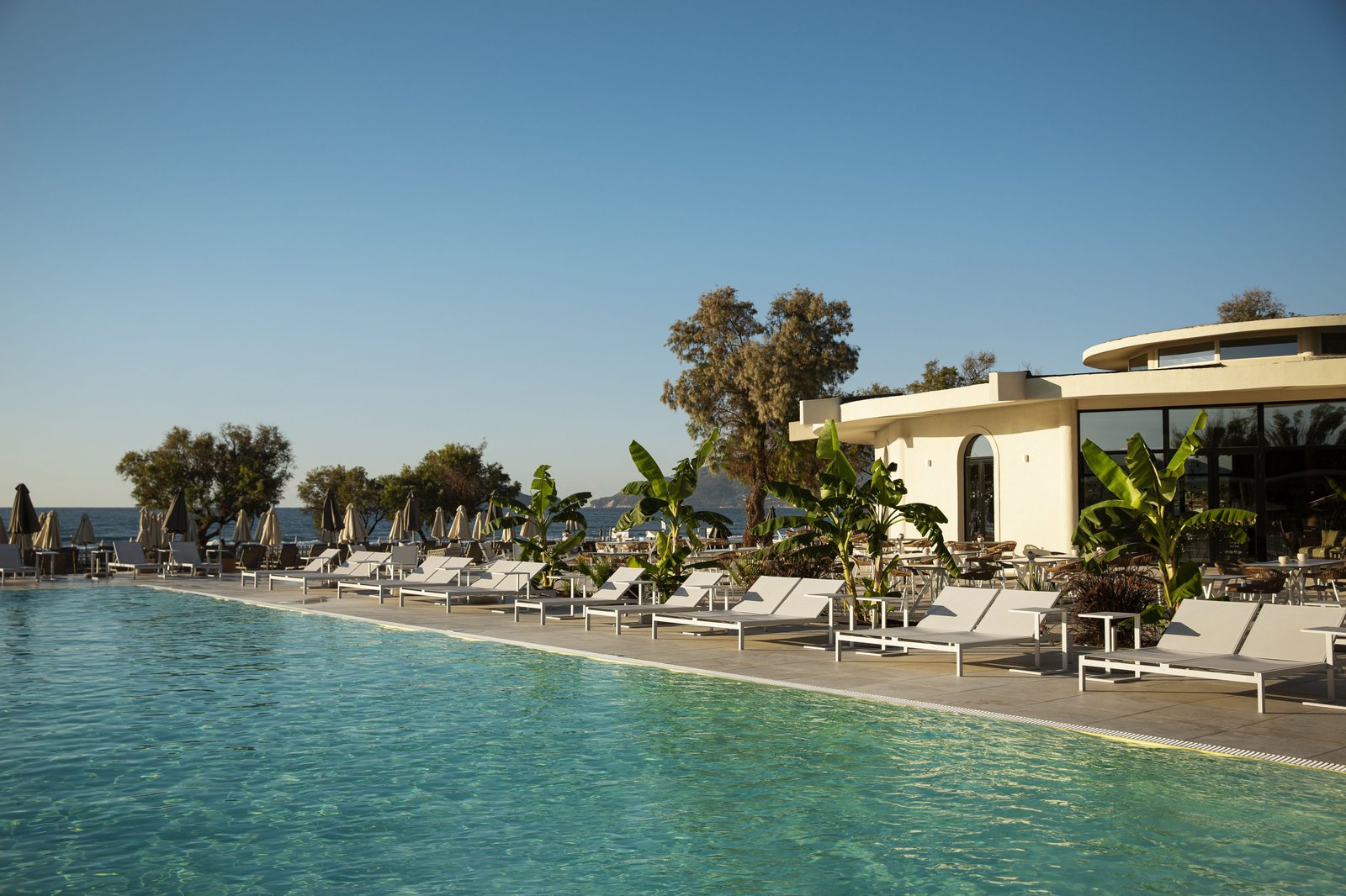 Domes Aulus Zante, Autograph Collection