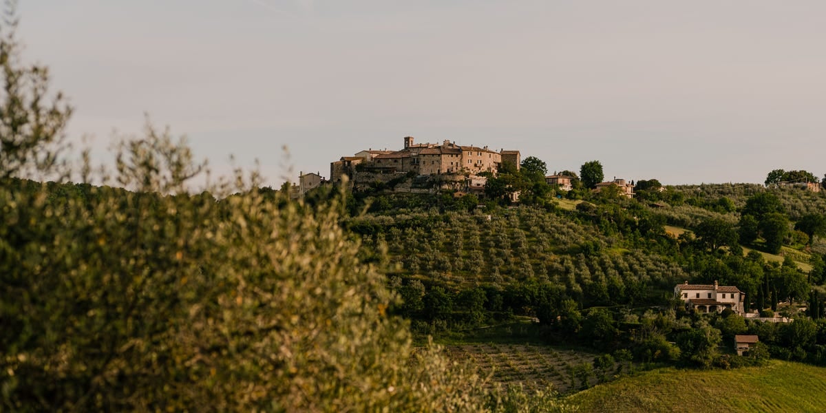 Aethos Saragano, how it began