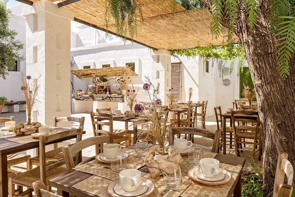 Masseria Narducci, at the table