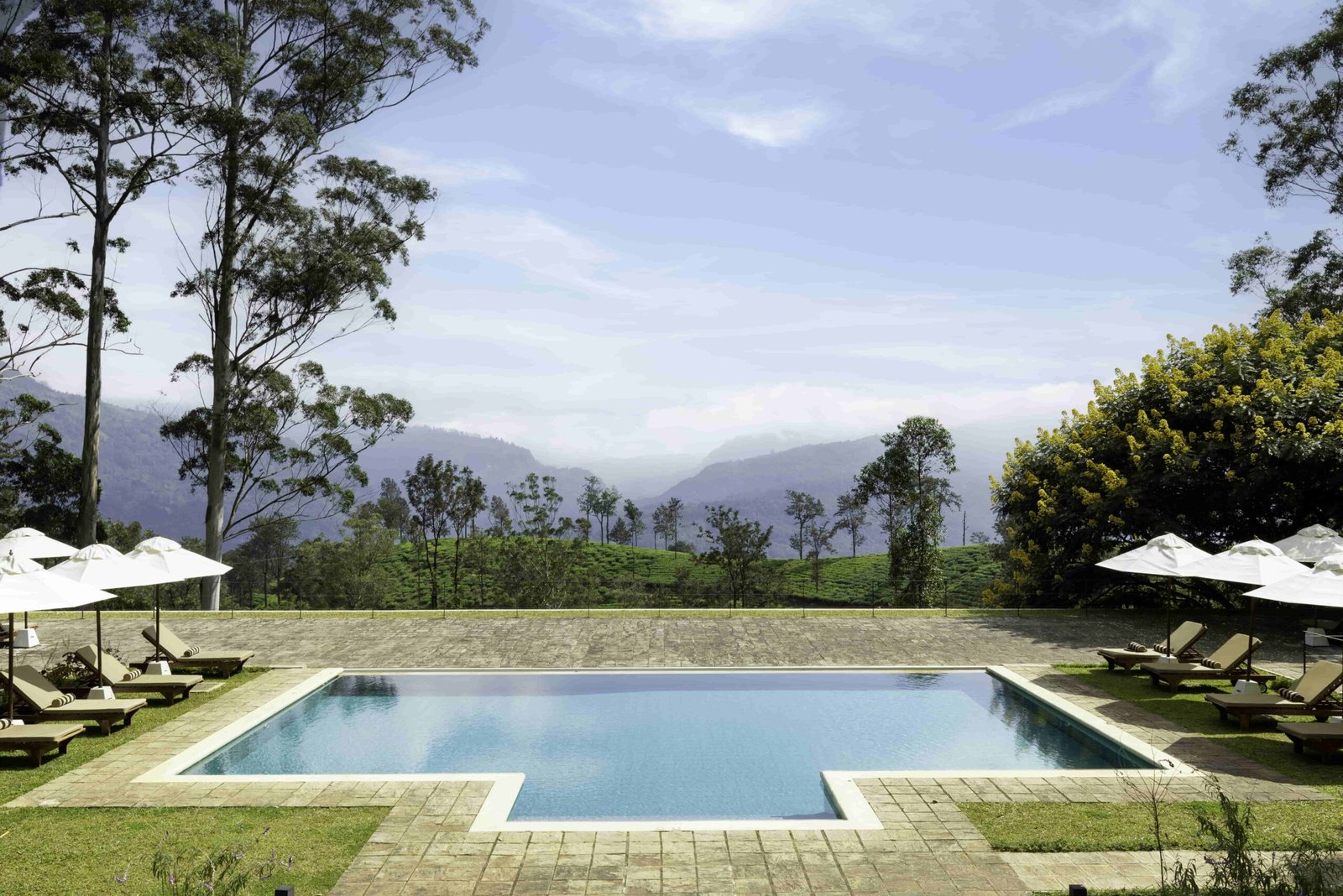 The Lavender House by Reveal, the pool