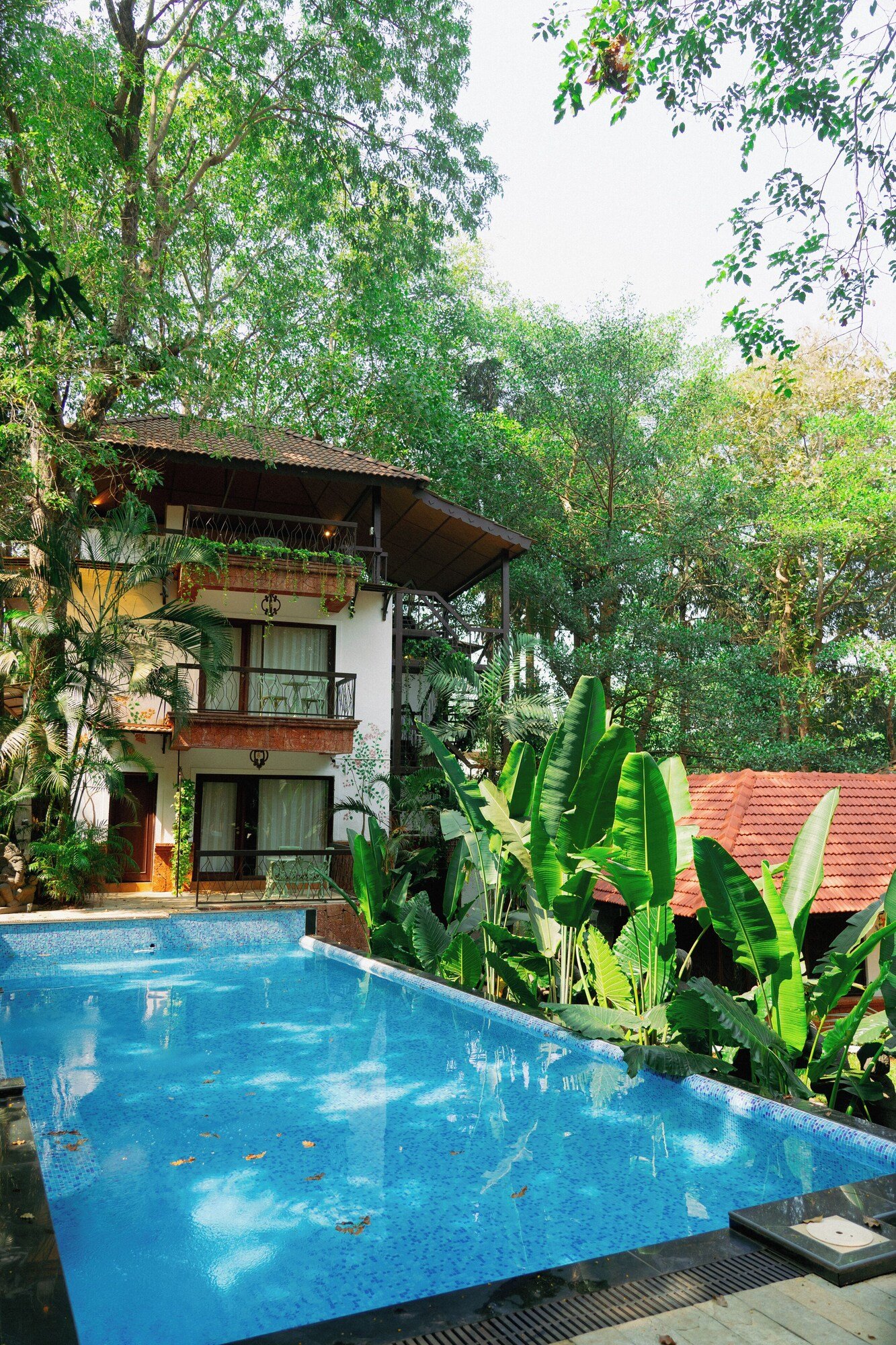 Brij Paraiso Saligao, the pool