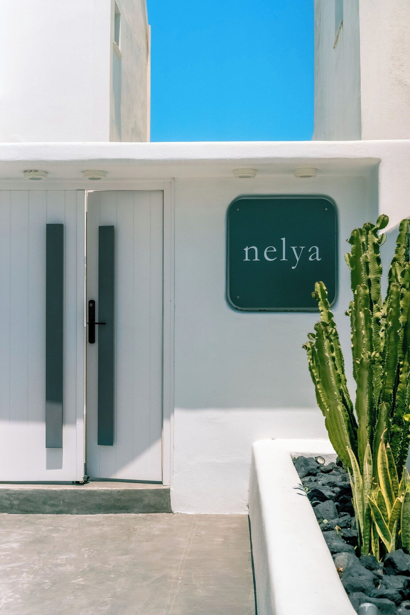 Nelya Suites, how it began