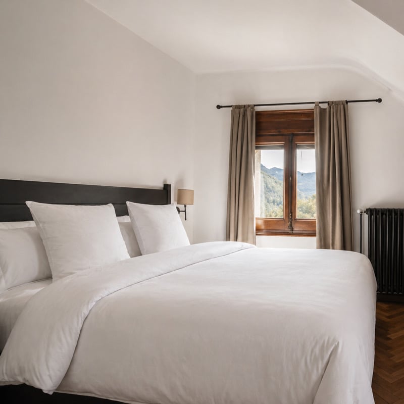 Angelats Hotel, rooms