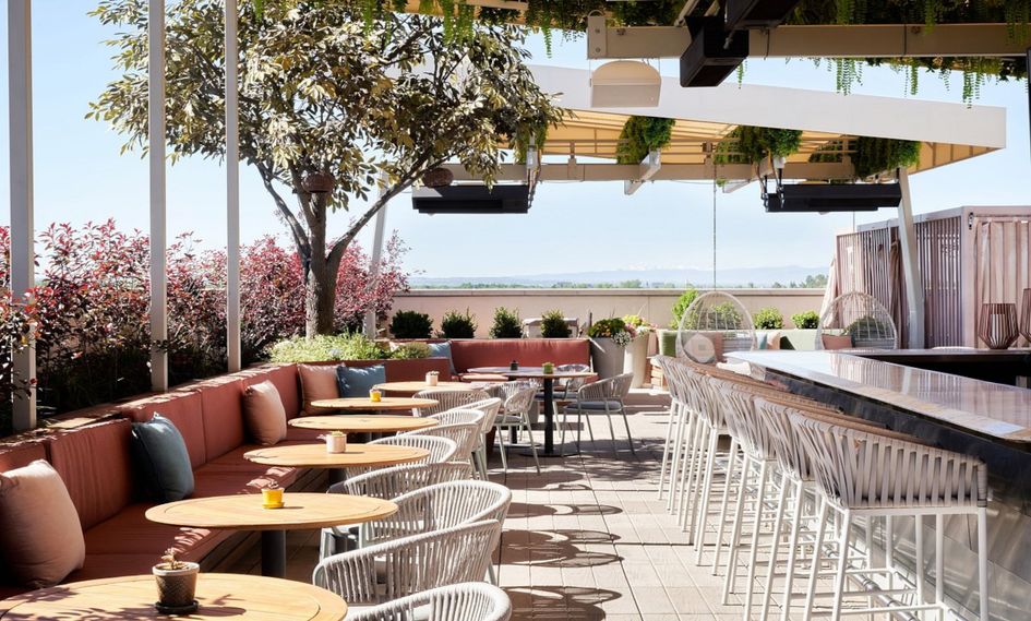 Halcyon, a hotel in Cherry Creek, Denver, rare bird