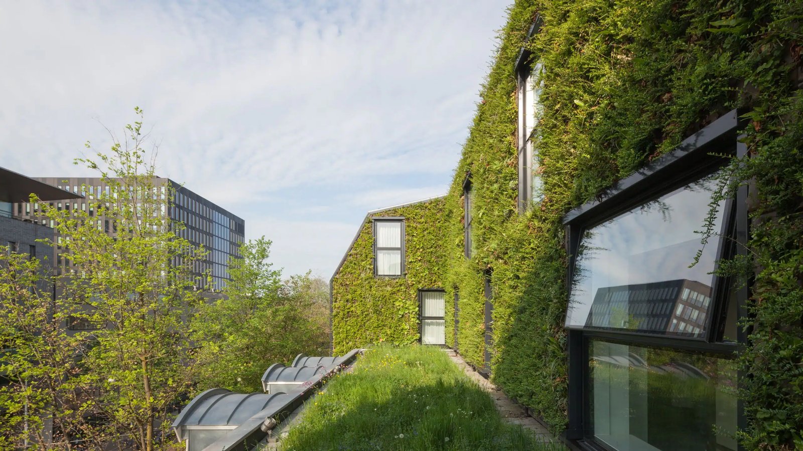 Hyatt Regency Amsterdam — backstory