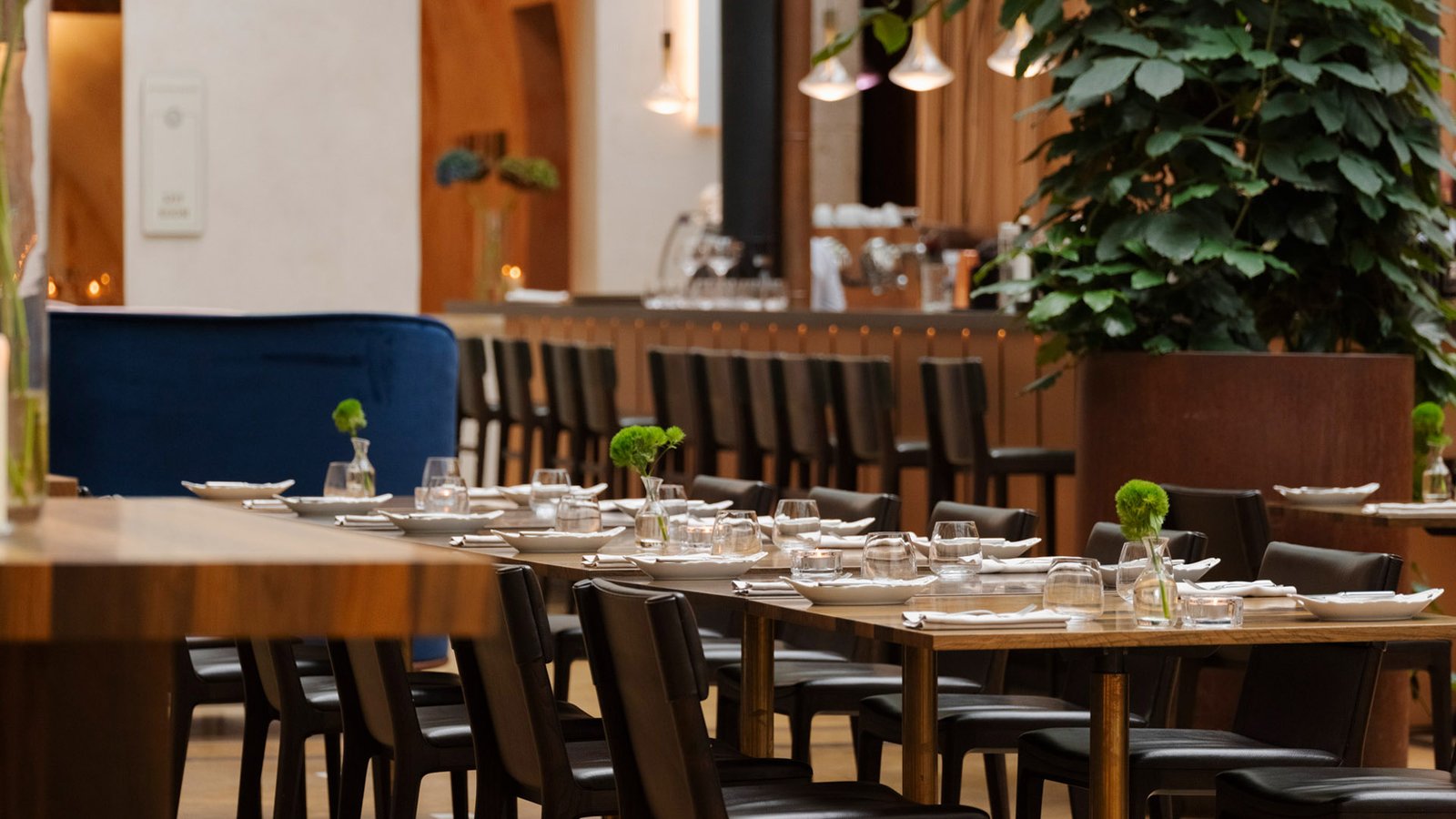 Pod Różą Hotel, restauracja pod różą
