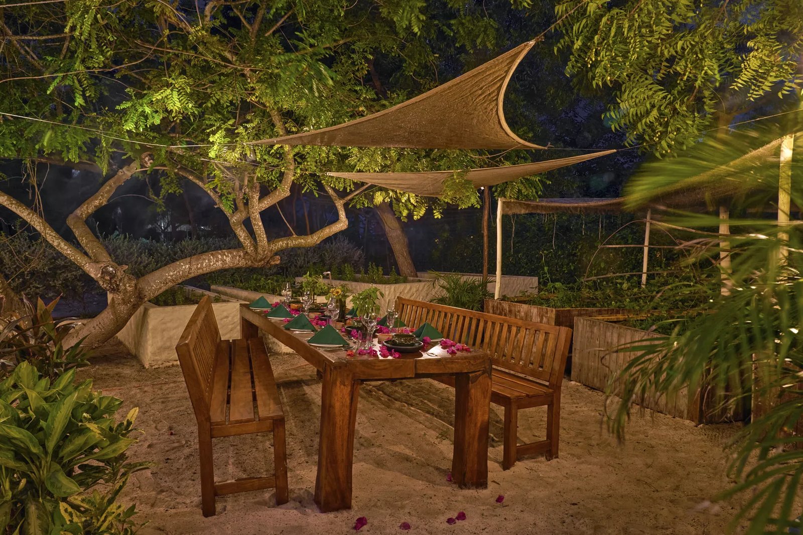 Blue Apple Beach, at the table