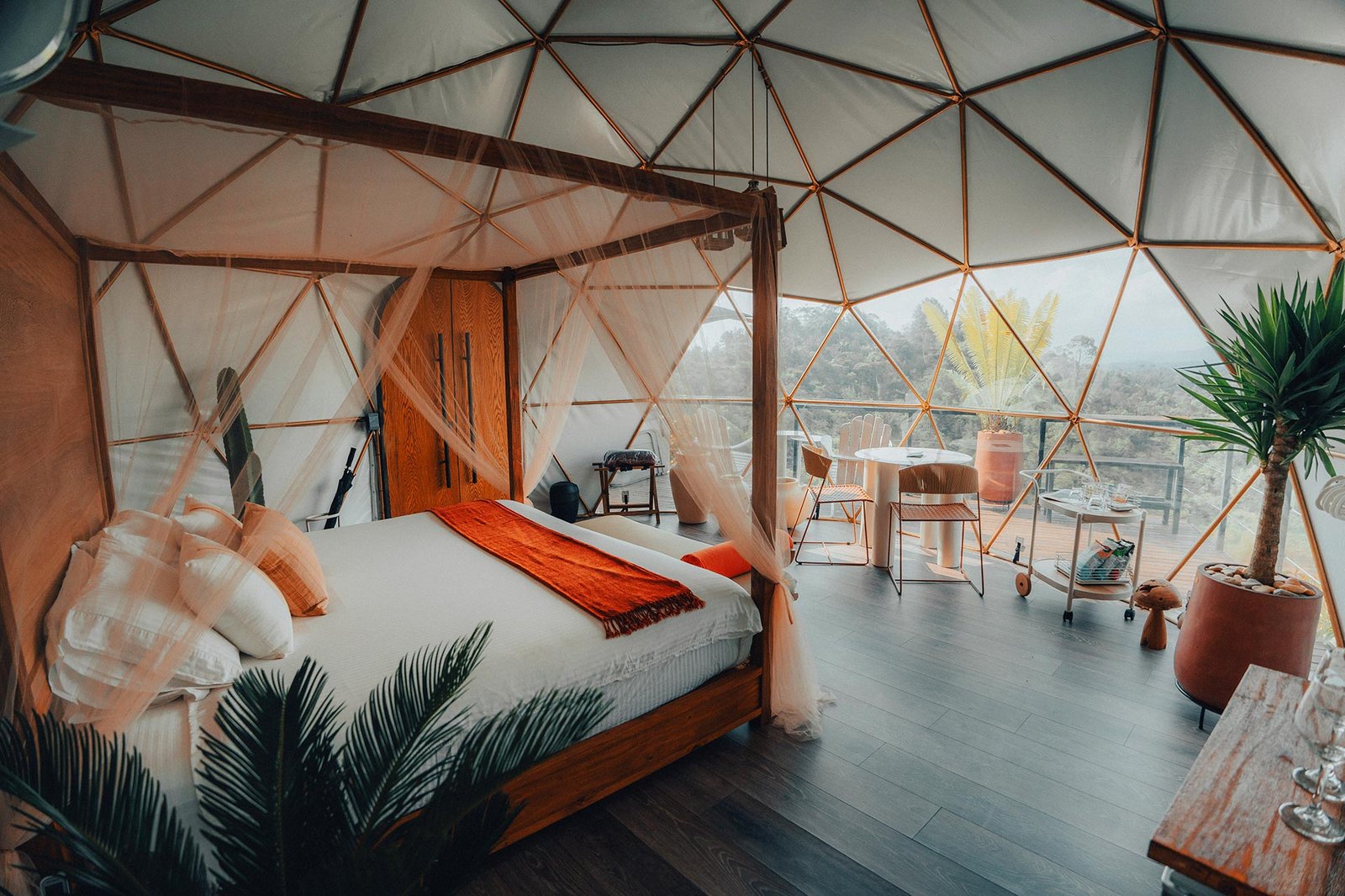 BOSKO, rooms