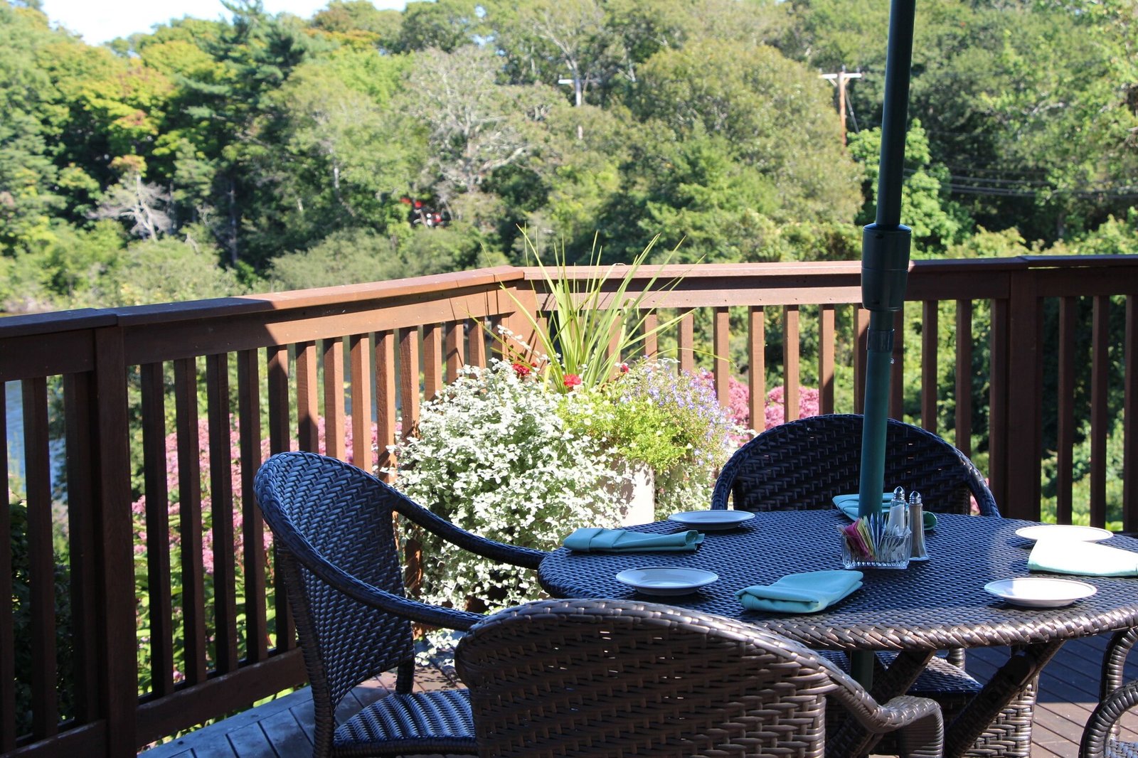 The Coonamessett, at the table