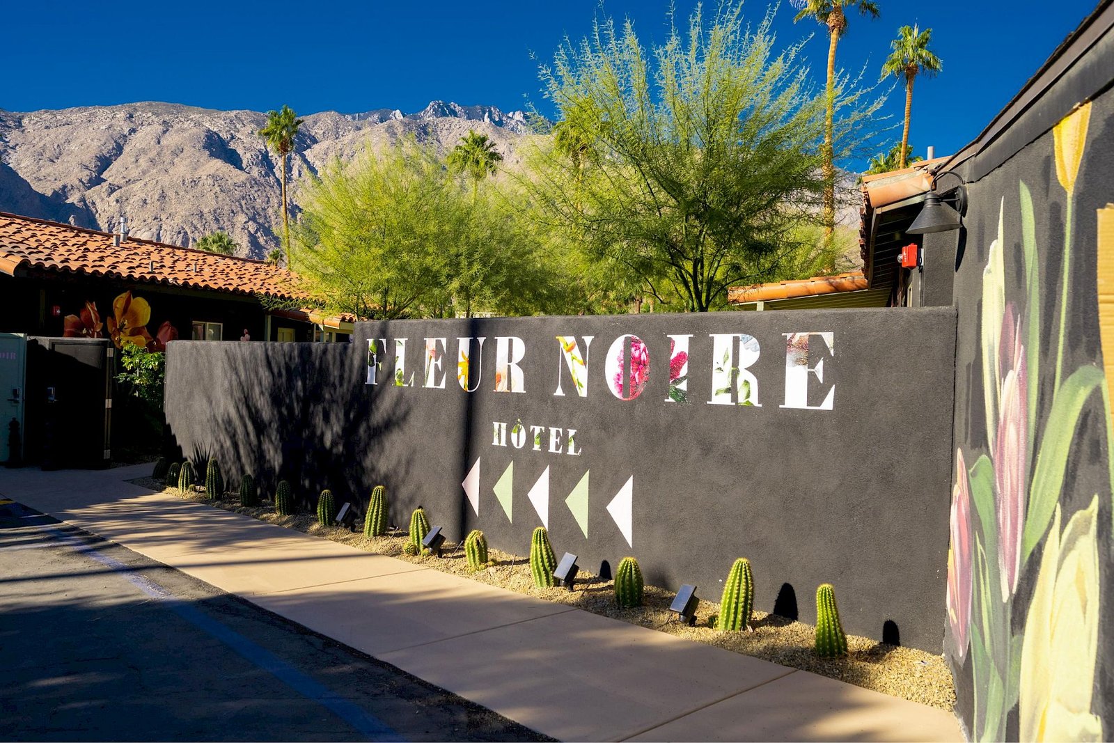 Fleur Noire Hotel, how it began