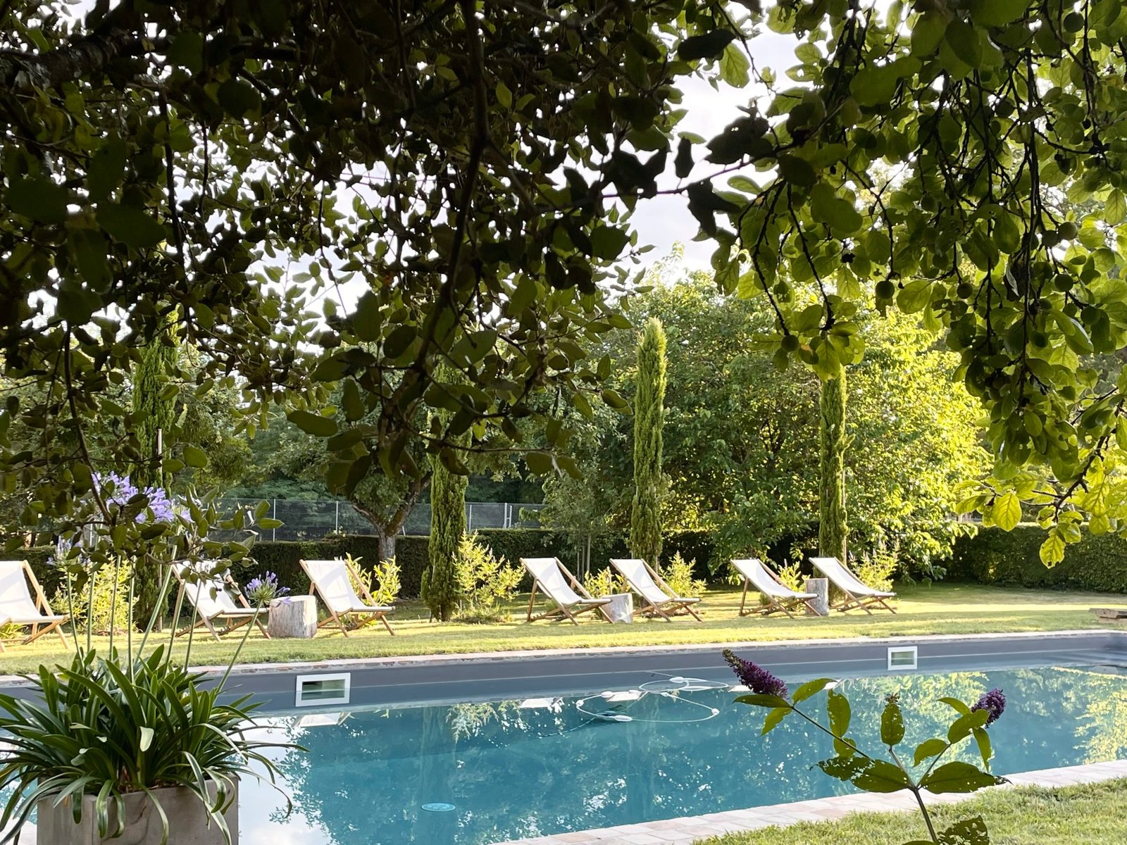Domaine de la Partoucie, the pool