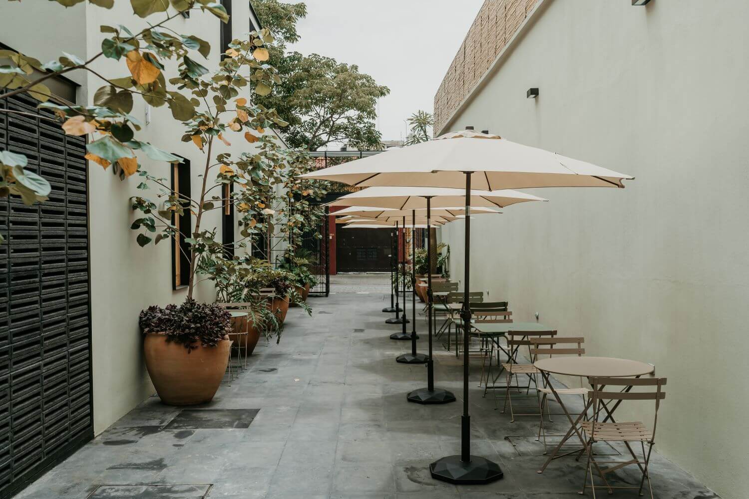 Majagua Hotel Boutique Oaxaca., endémico restaurante