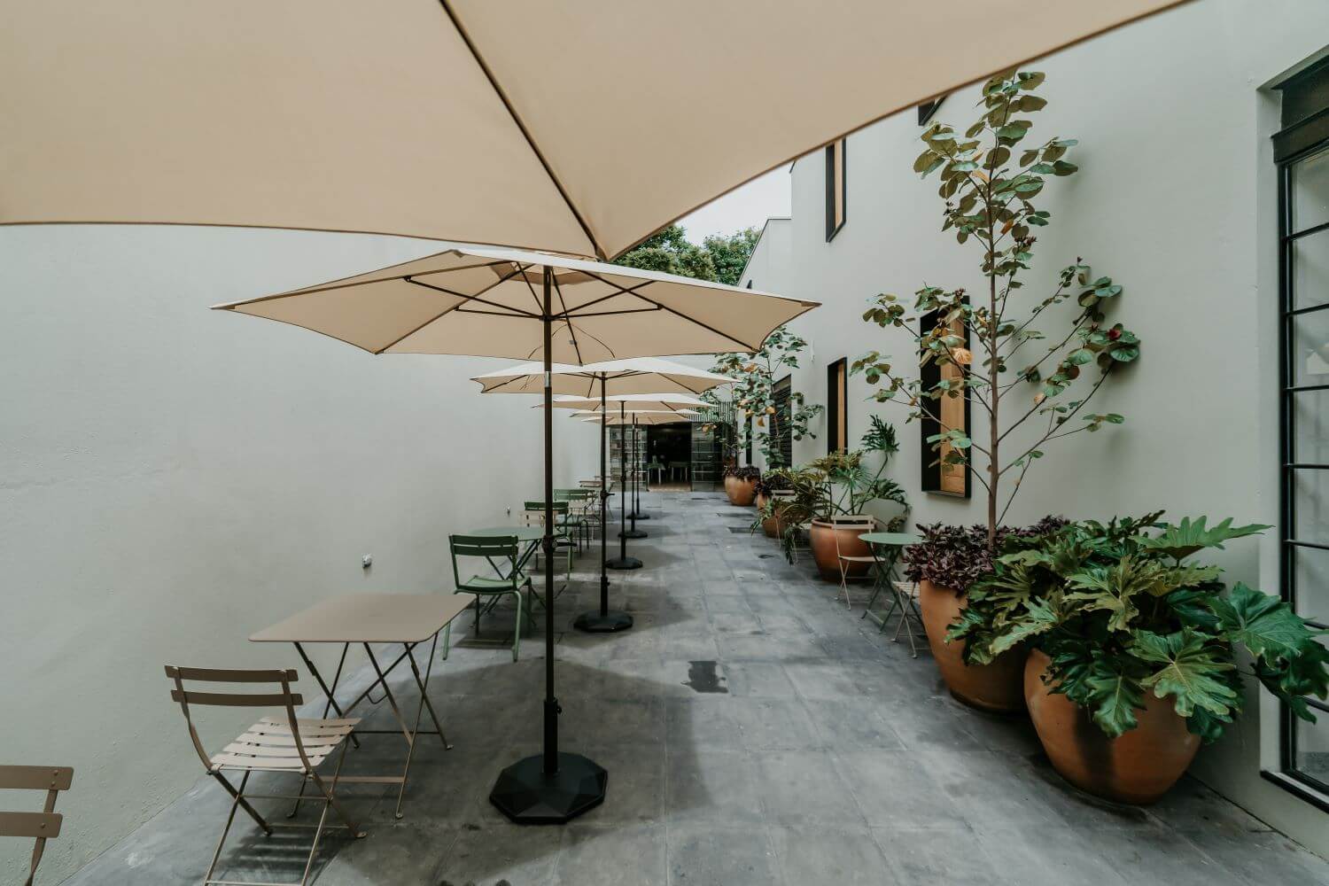 Majagua Hotel Boutique Oaxaca., endémico restaurante