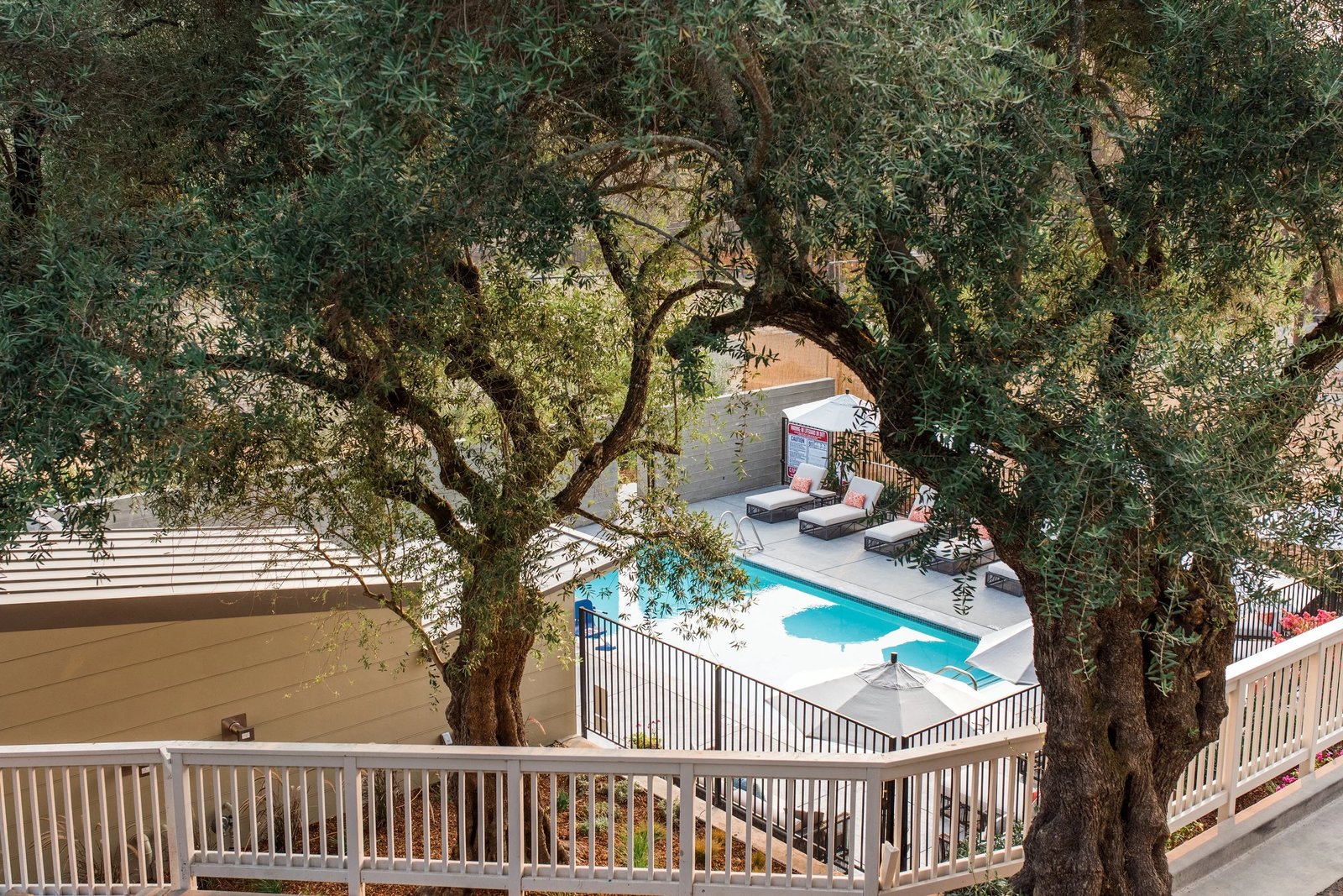 Olea Hotel, the pool